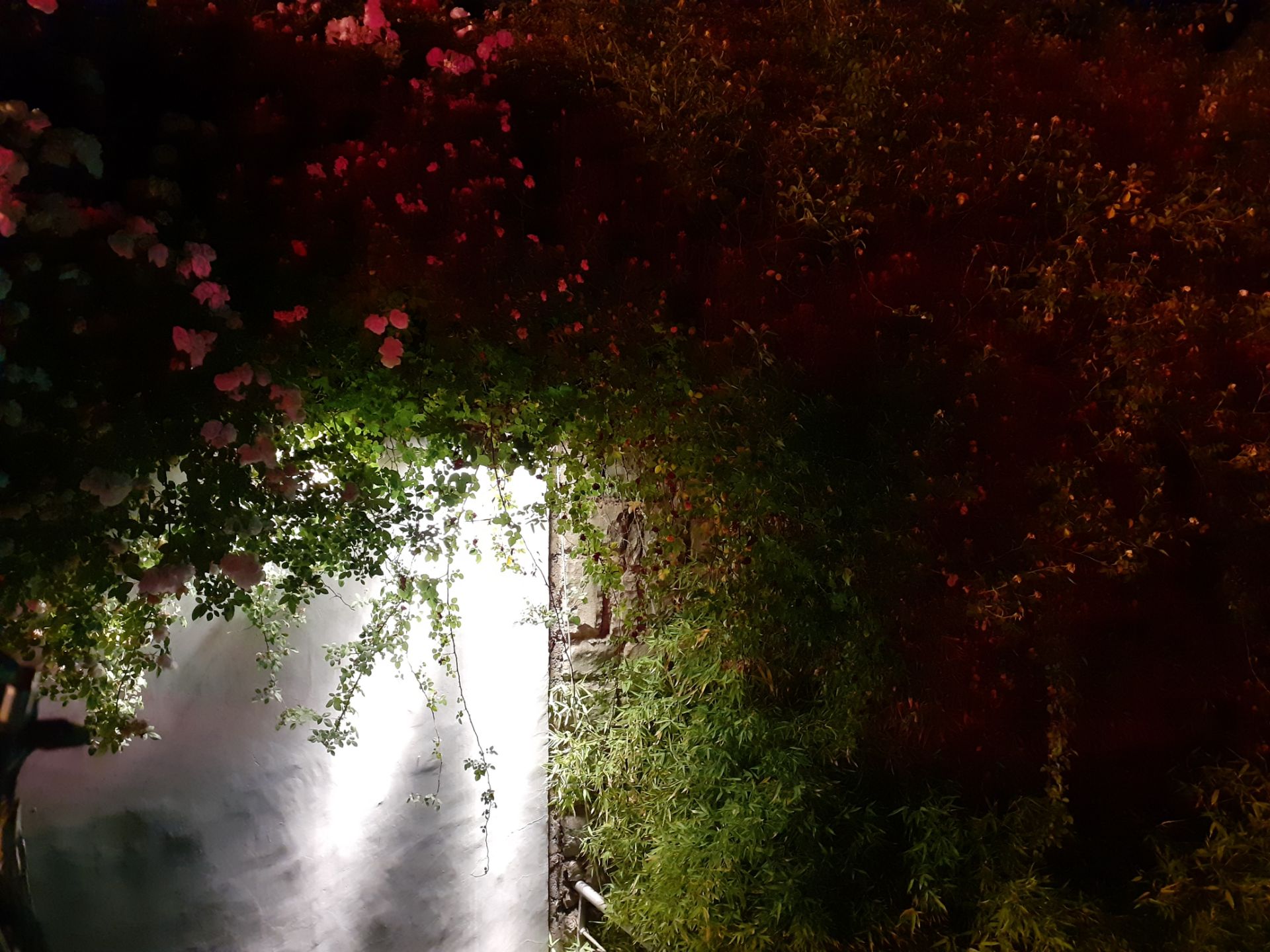 نمونه تصاویر گرفته شده با گلکسی ام ۳۰ سامسونگ / Samsung Galaxy M30