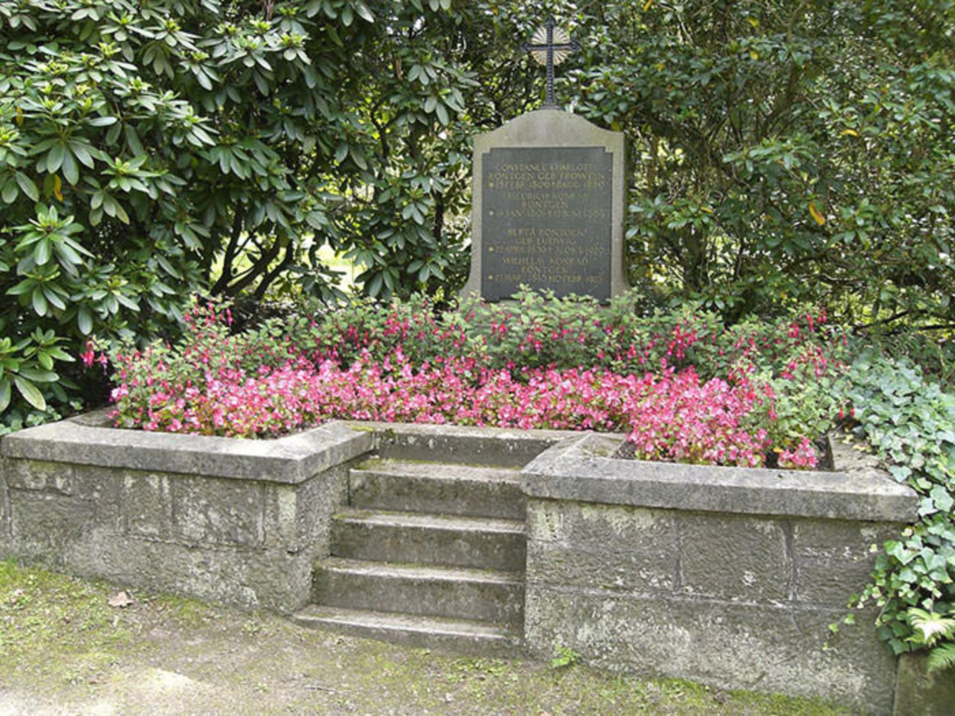 ویلهلم رونتگن / Wilhelm Rontgen