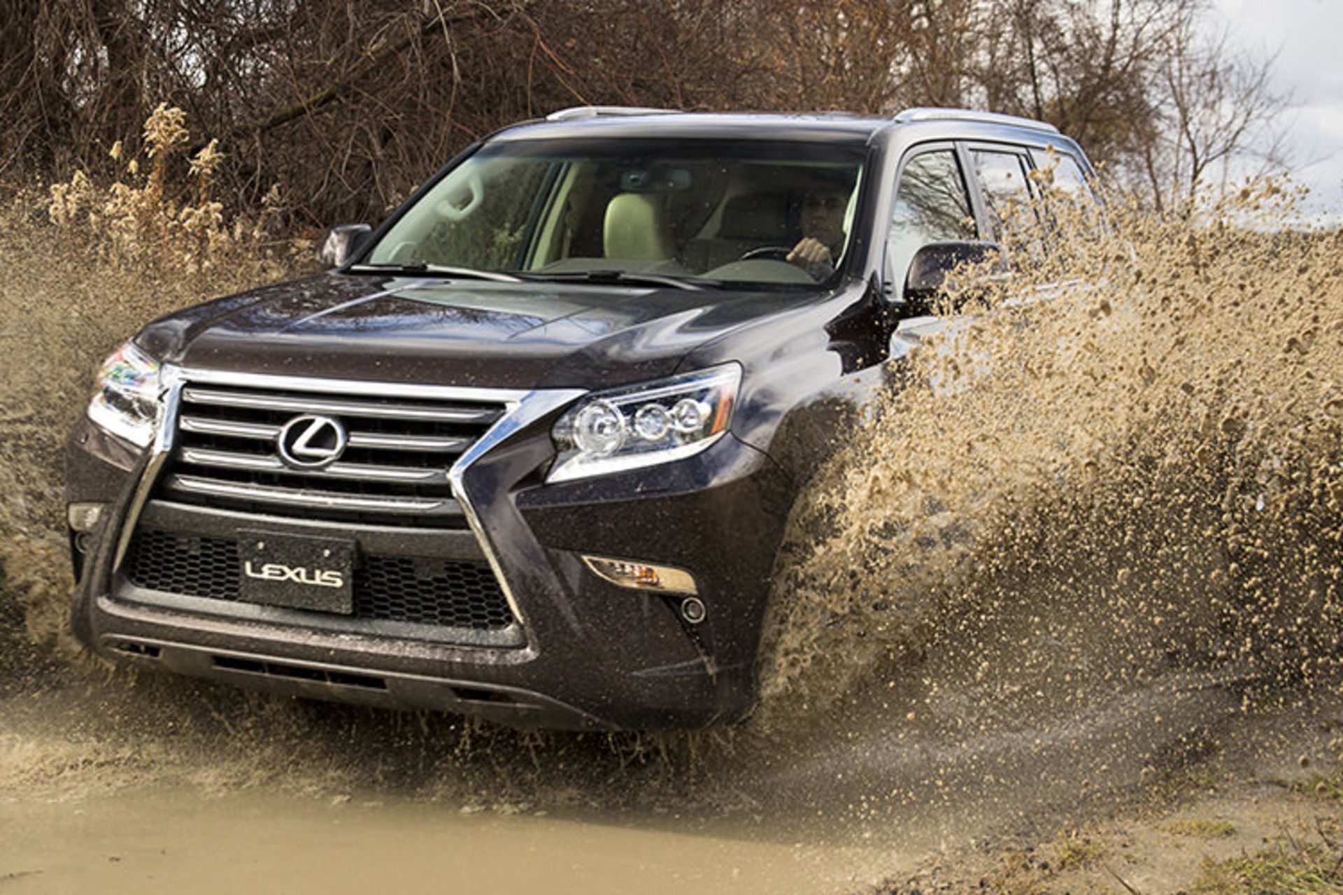 مرجع متخصصين ايران Lexus GX