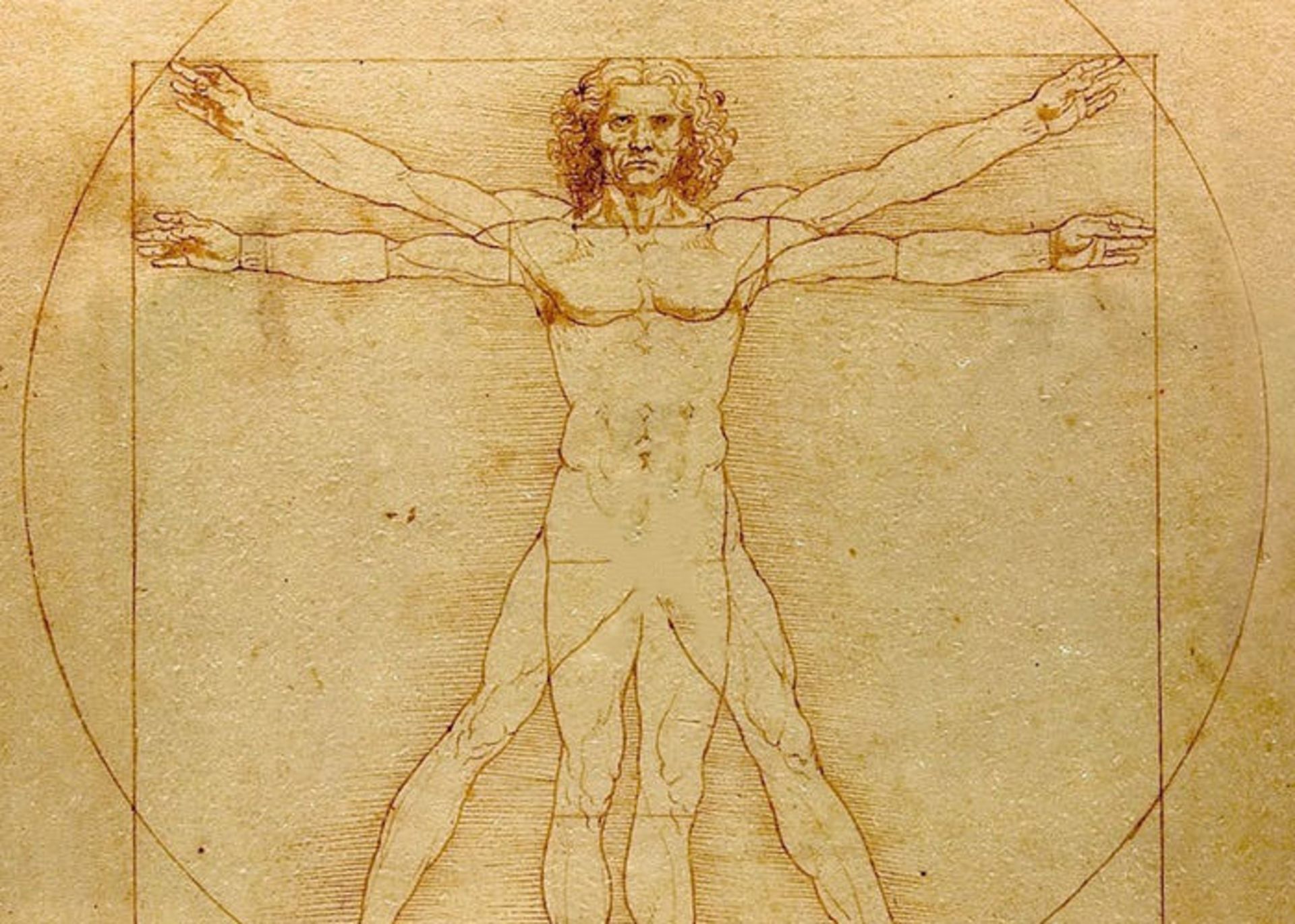 مرد ویتروویوسی