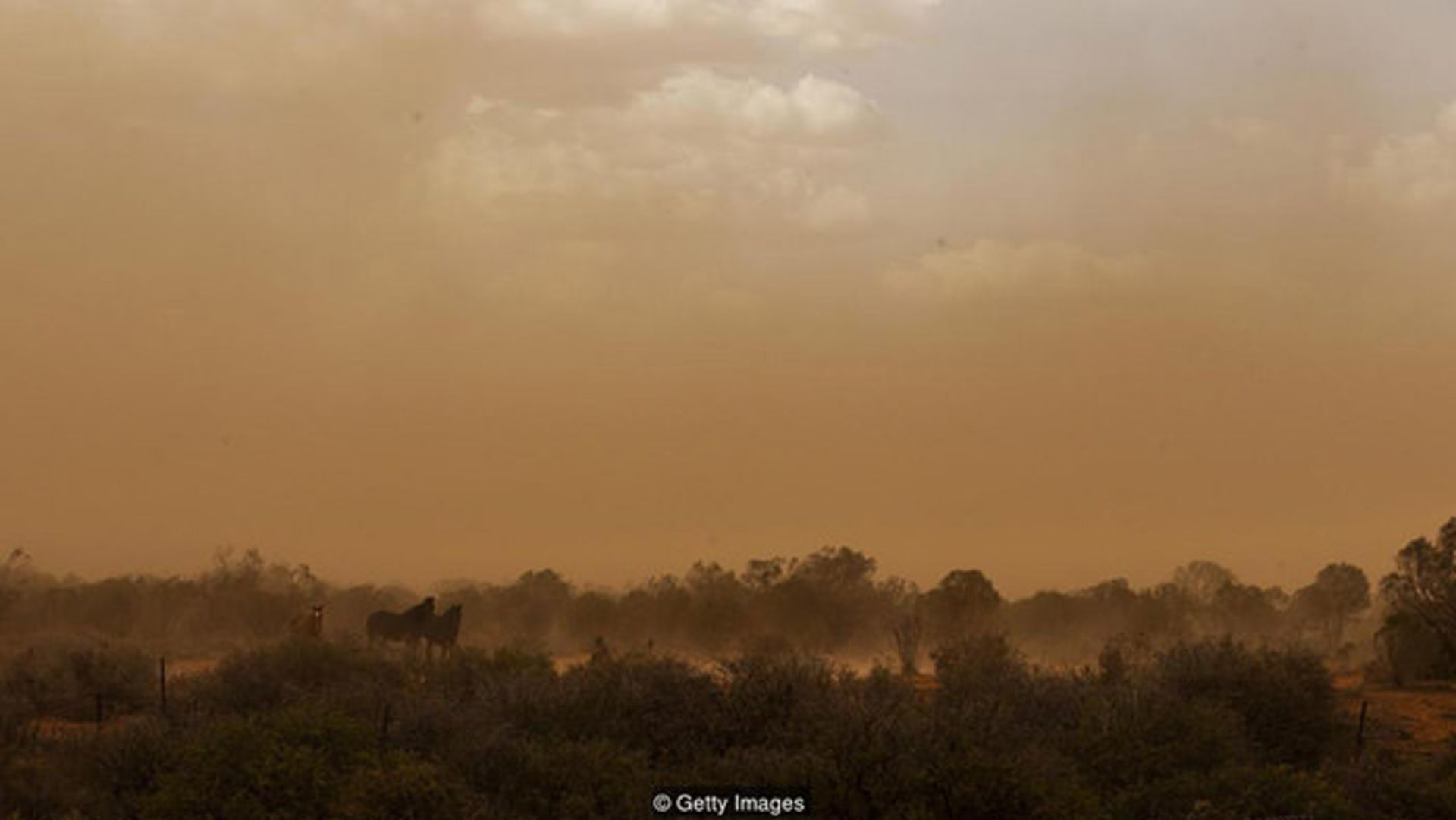 طوفان گرد و غبار