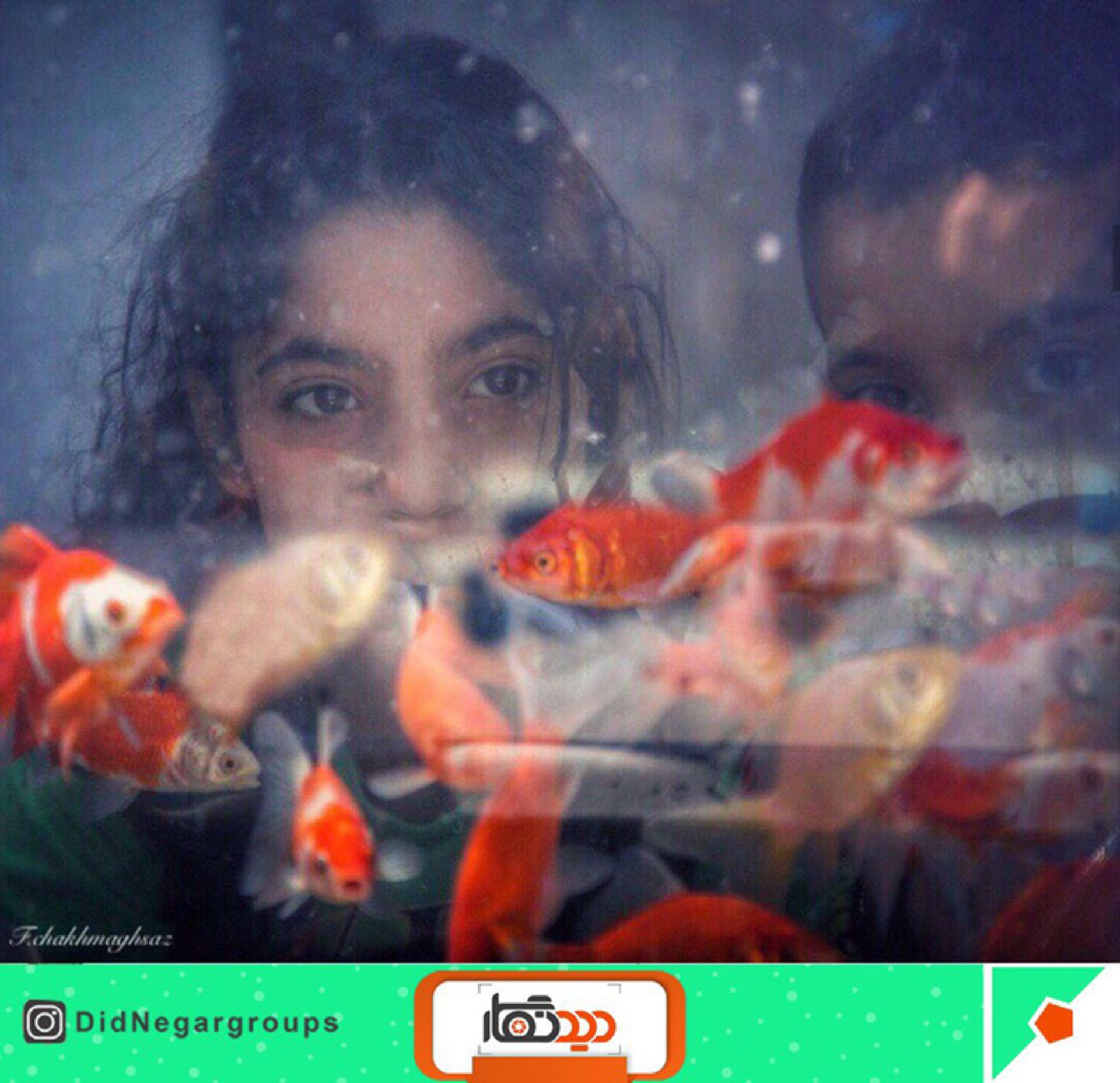 مسابقه نوروزنگار 