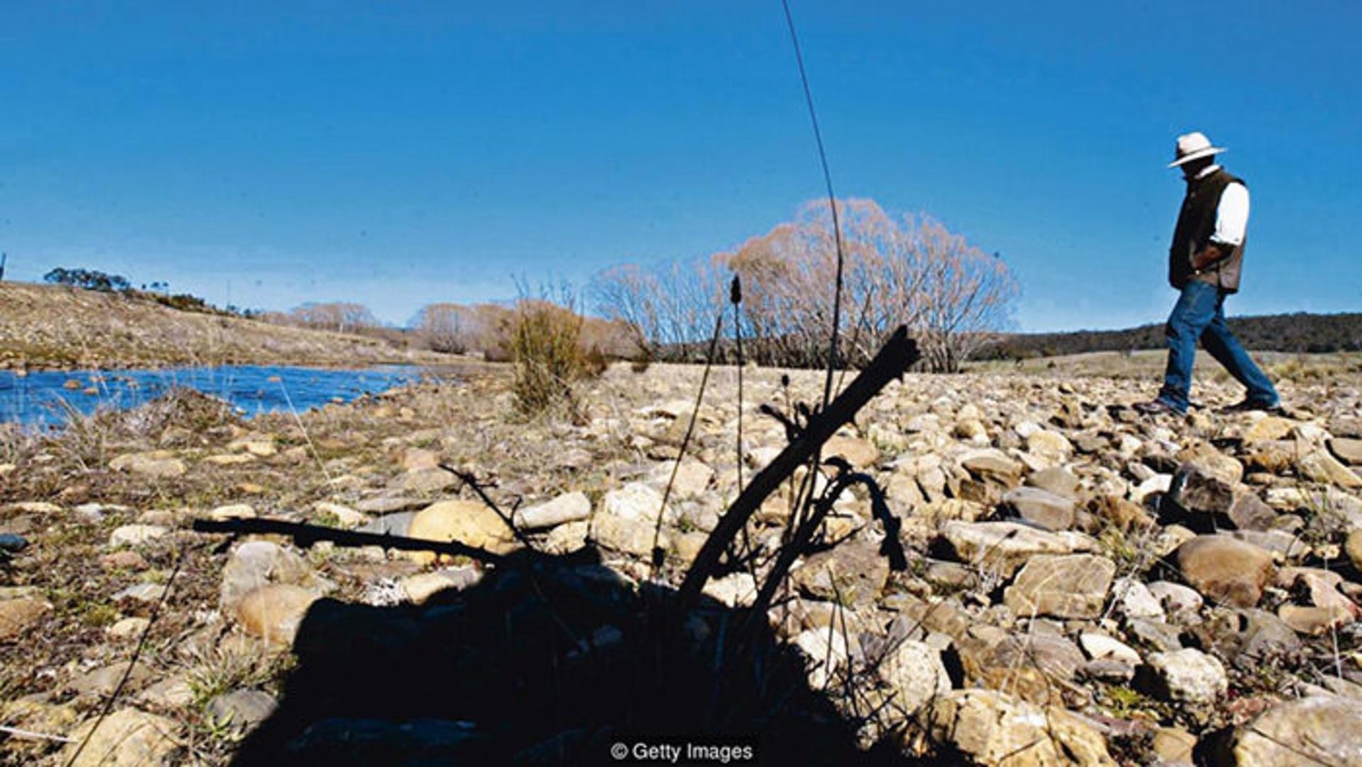 حفظ اکوسیستم