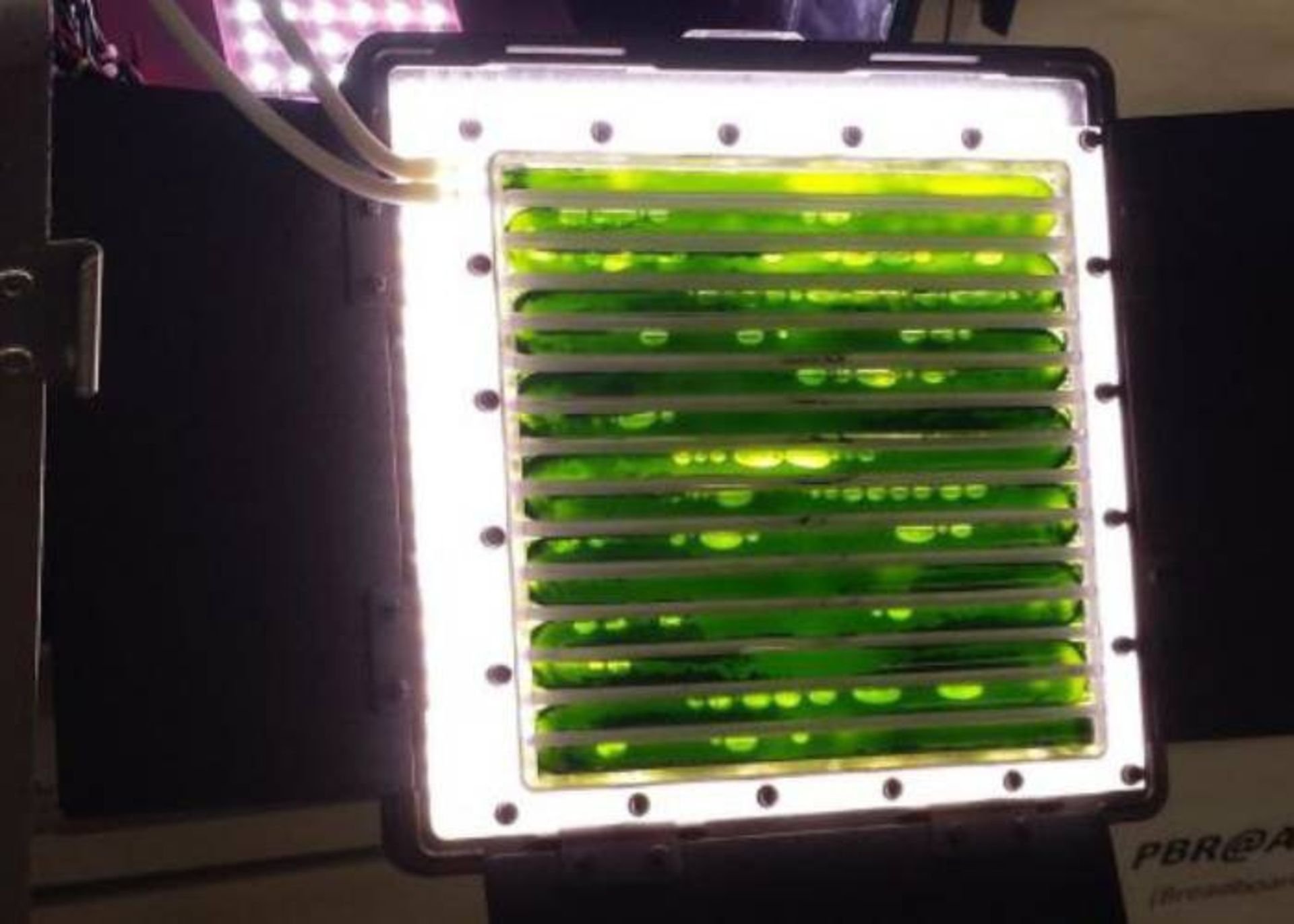 رآکتور زیستی نوری