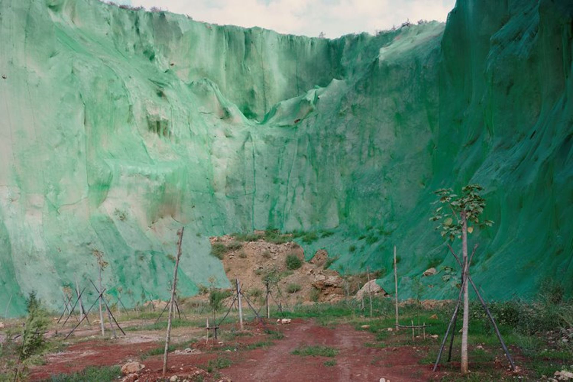 عکس برگزیده سال سونی