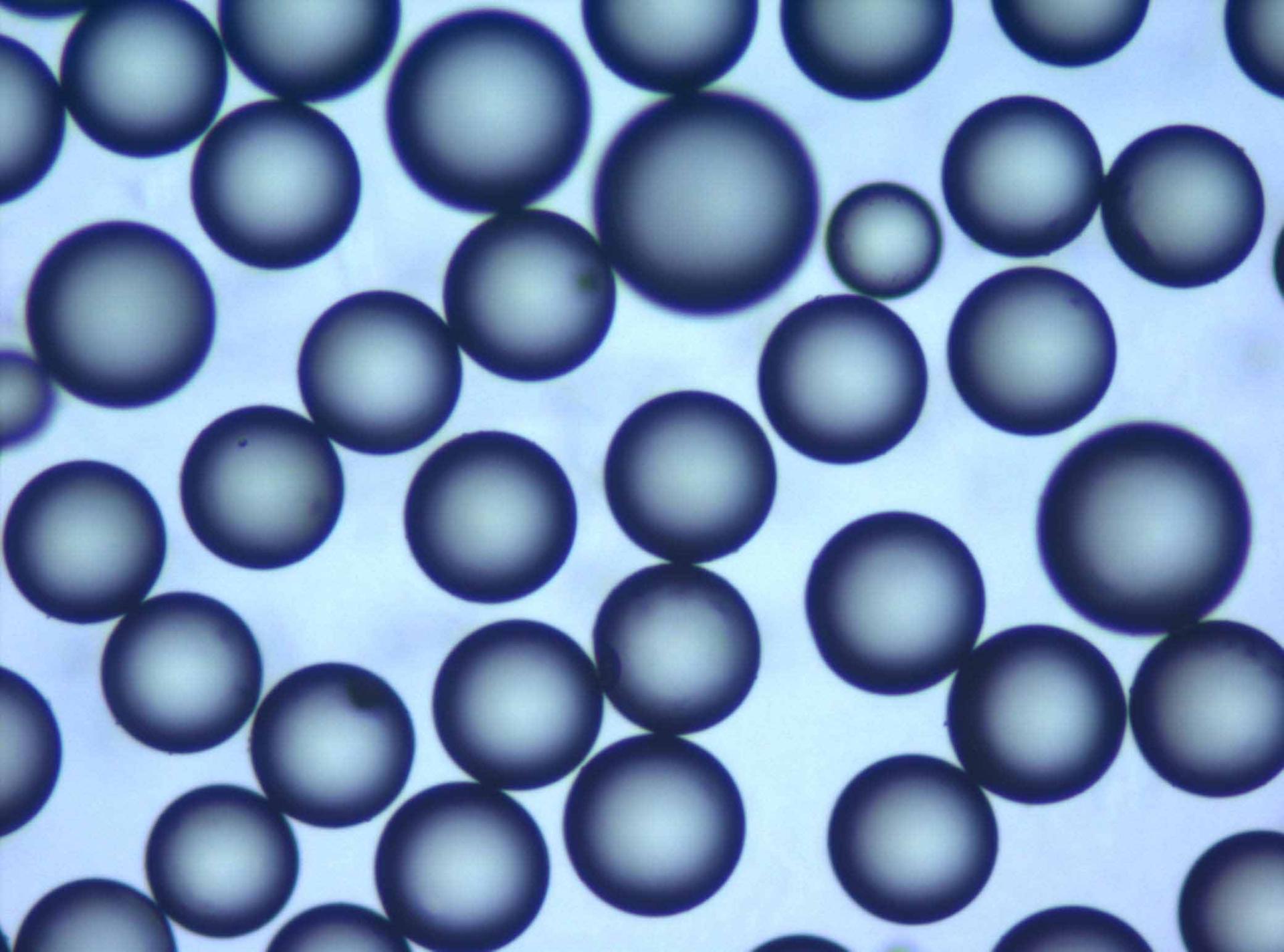 میکروسفر / microsphere