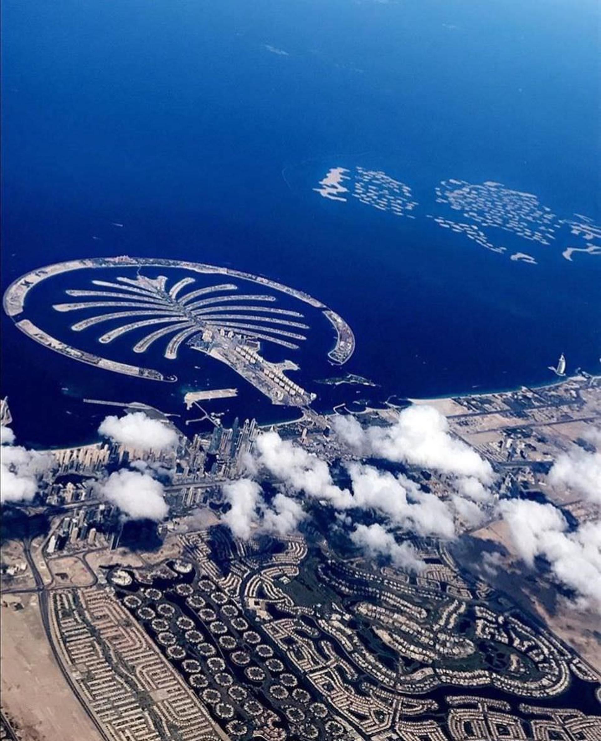 جزایر نخل دوبی