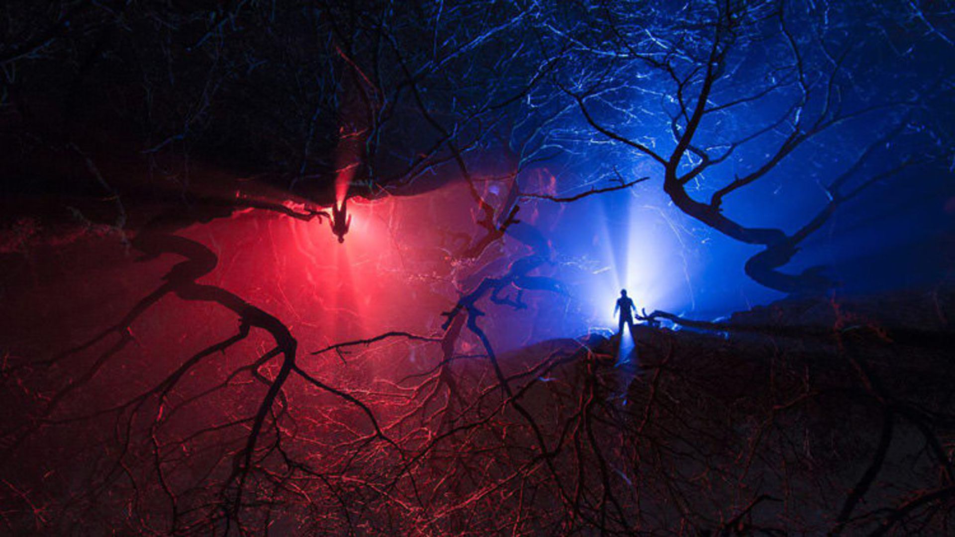 «نقاشی با نور» 