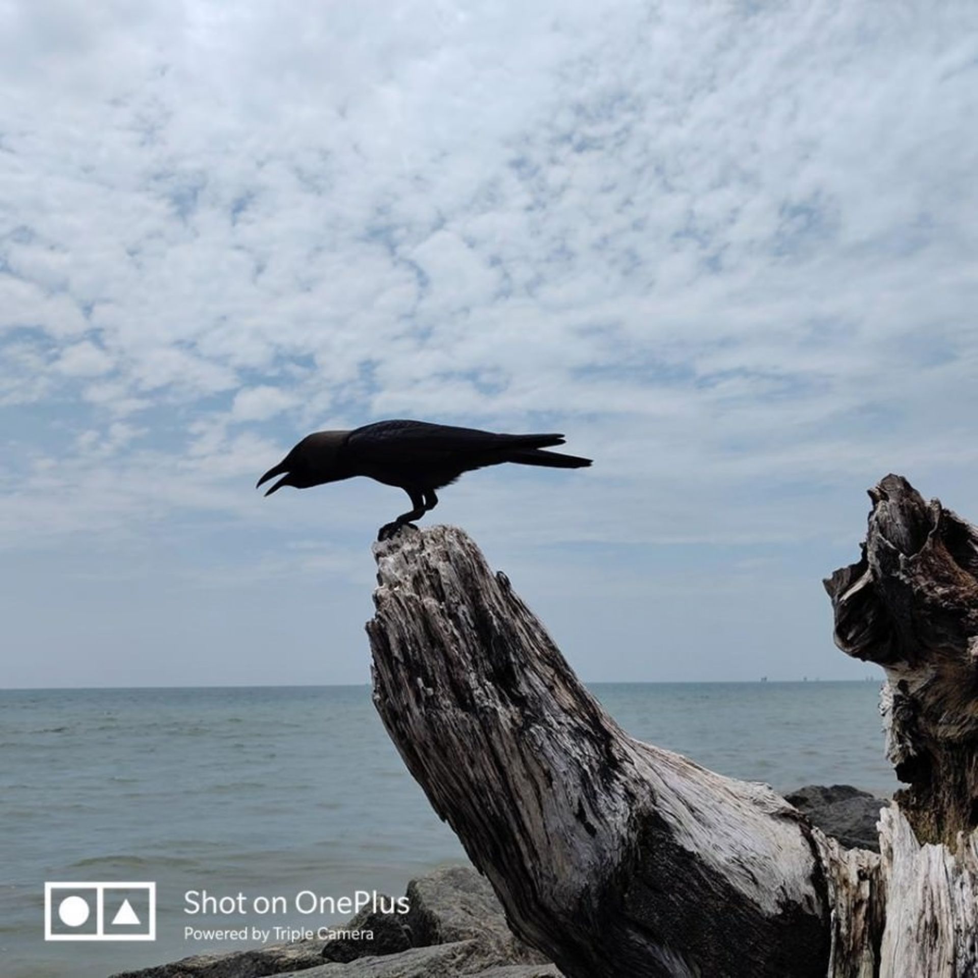 وان پلاس 7 پرو 