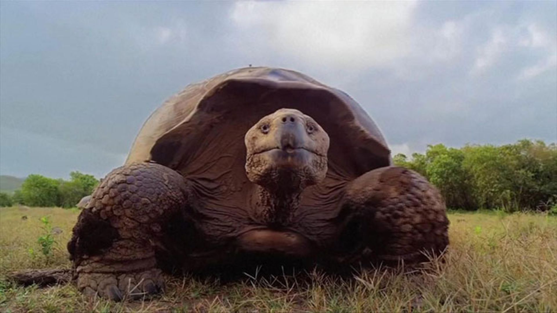 گزارش نابودی تنوع زیستی