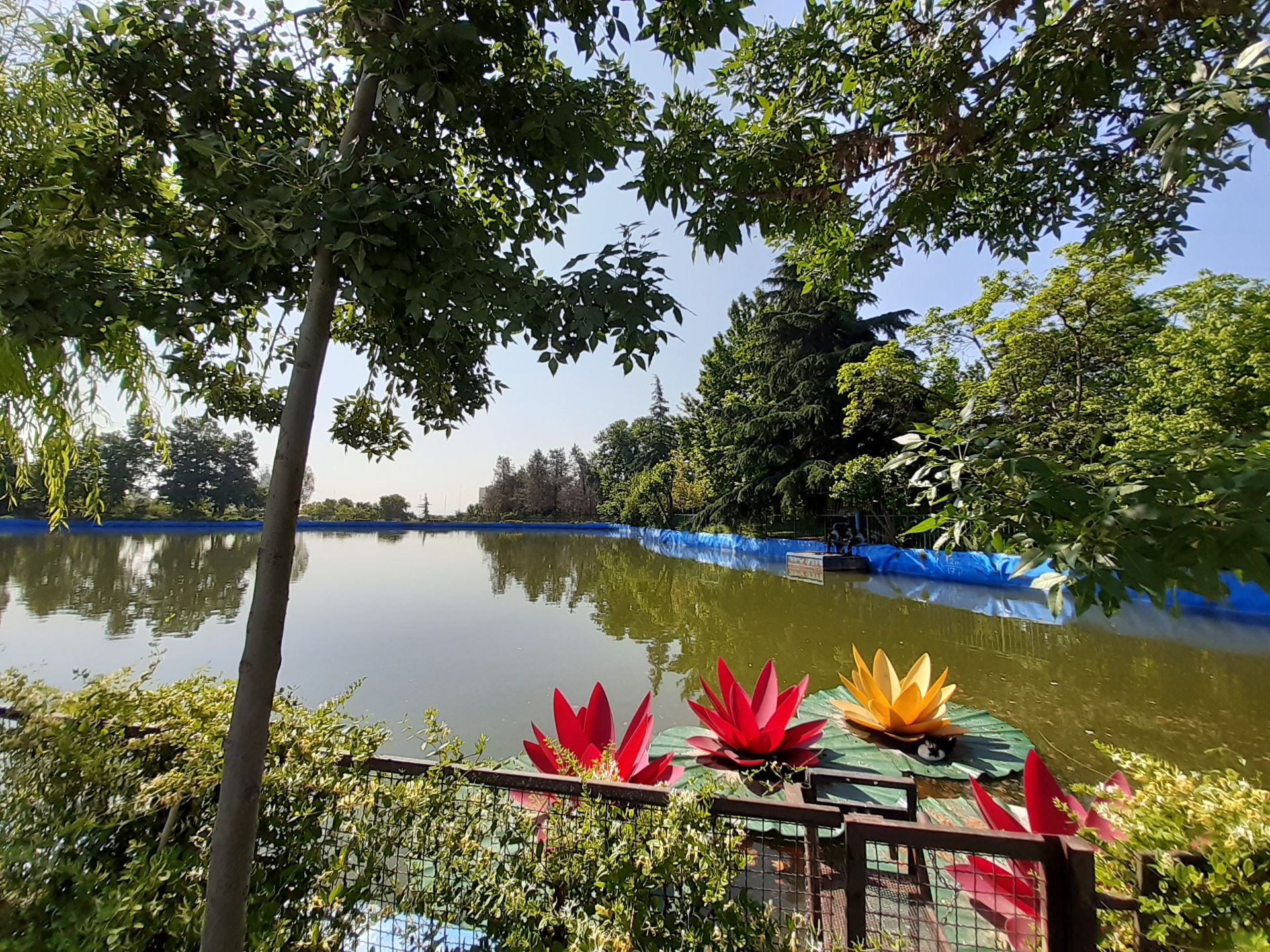 نمونه تصاویر گرفته شده با گلکسی ام ۳۰ سامسونگ / Samsung Galaxy M30