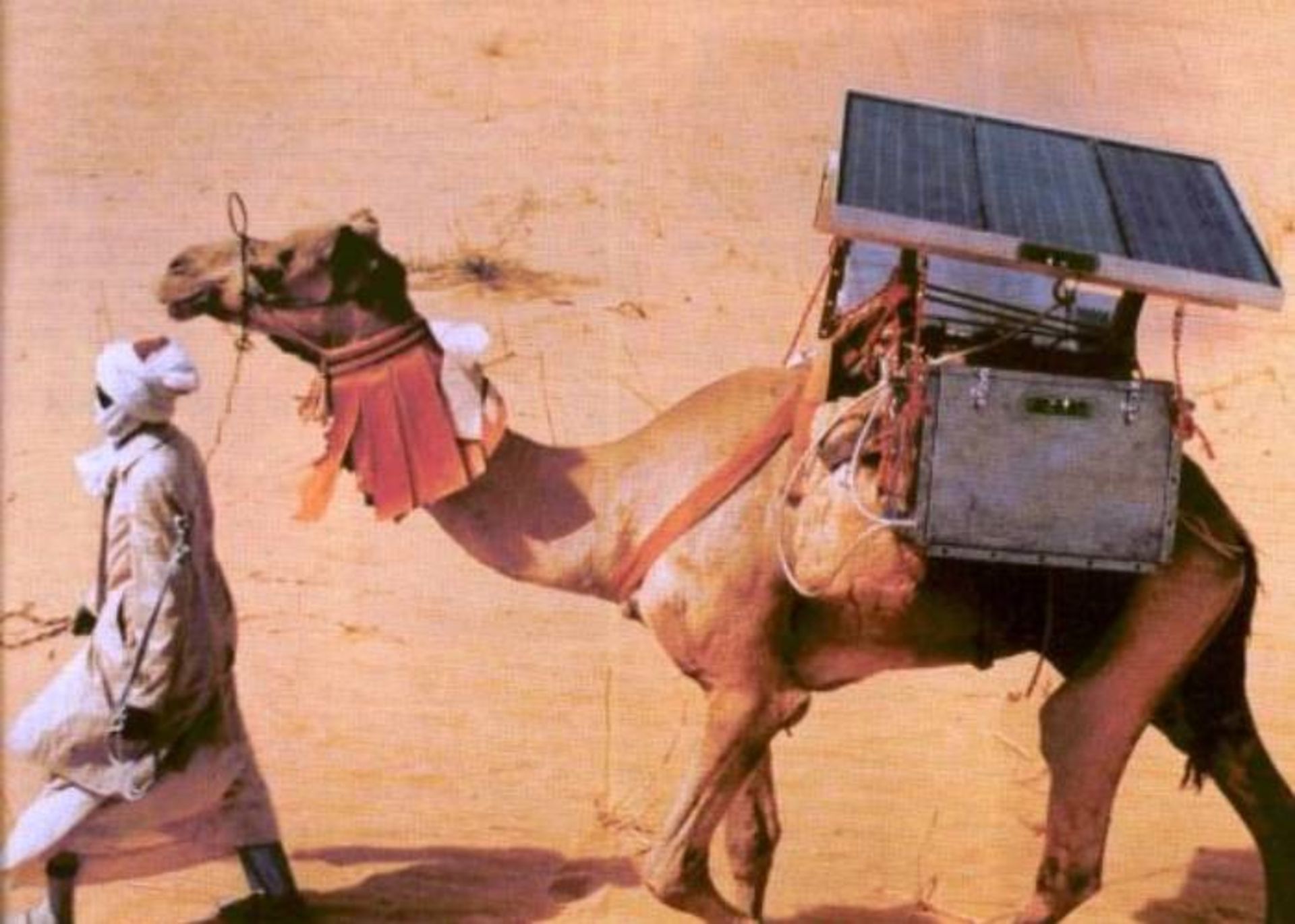 حمل واکسن