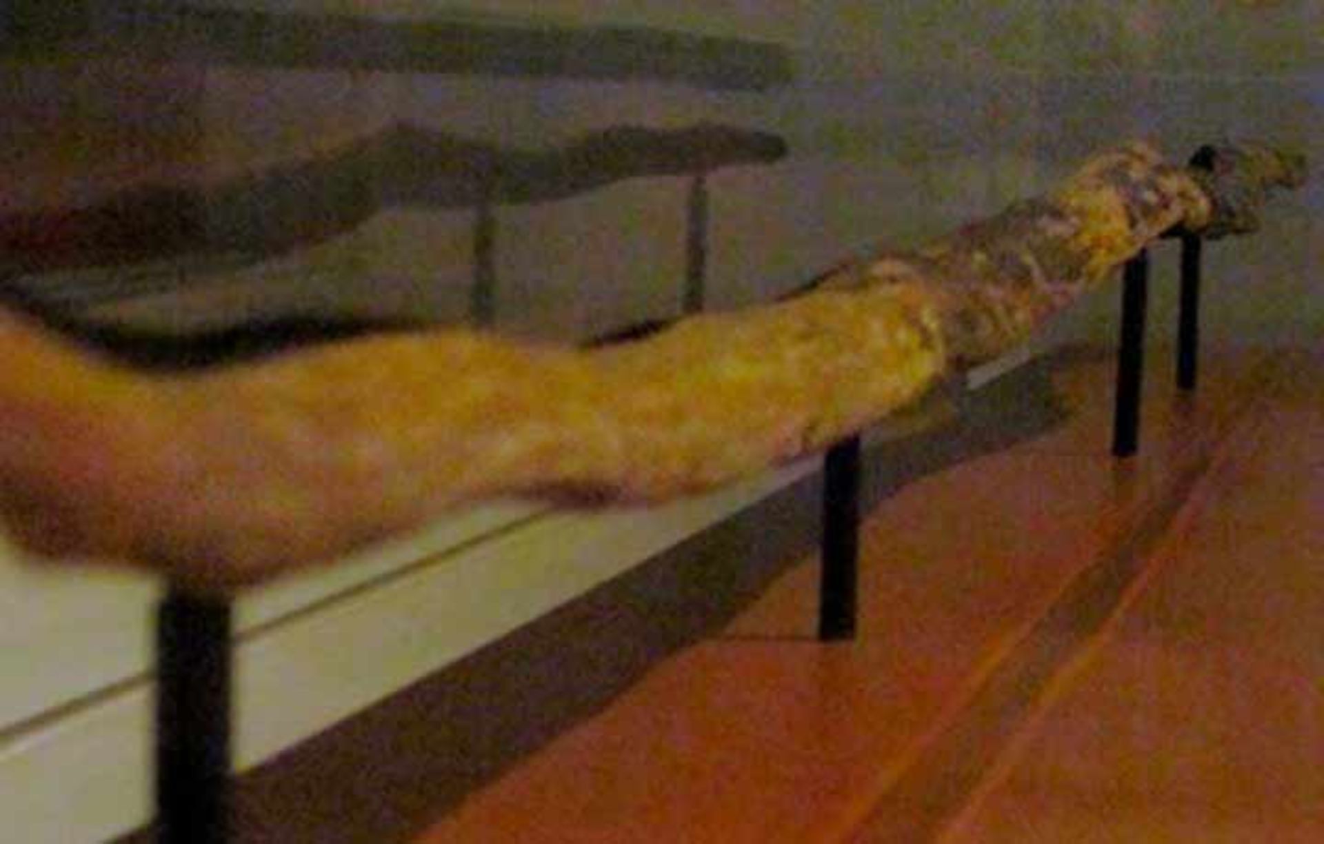 تیشه‌ کشف شده در شونینگن آلمان 