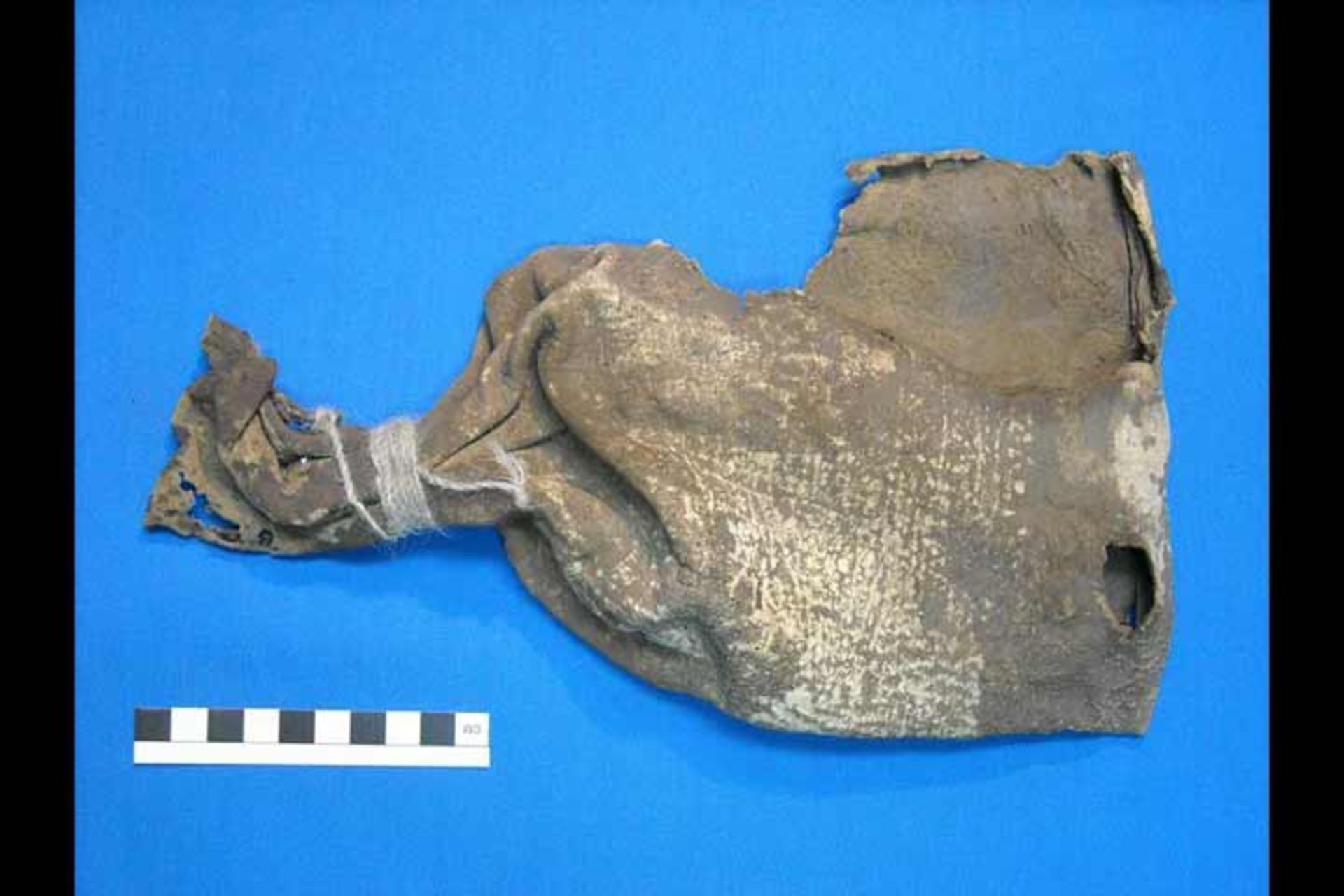 کیسه‌ی چرمی 