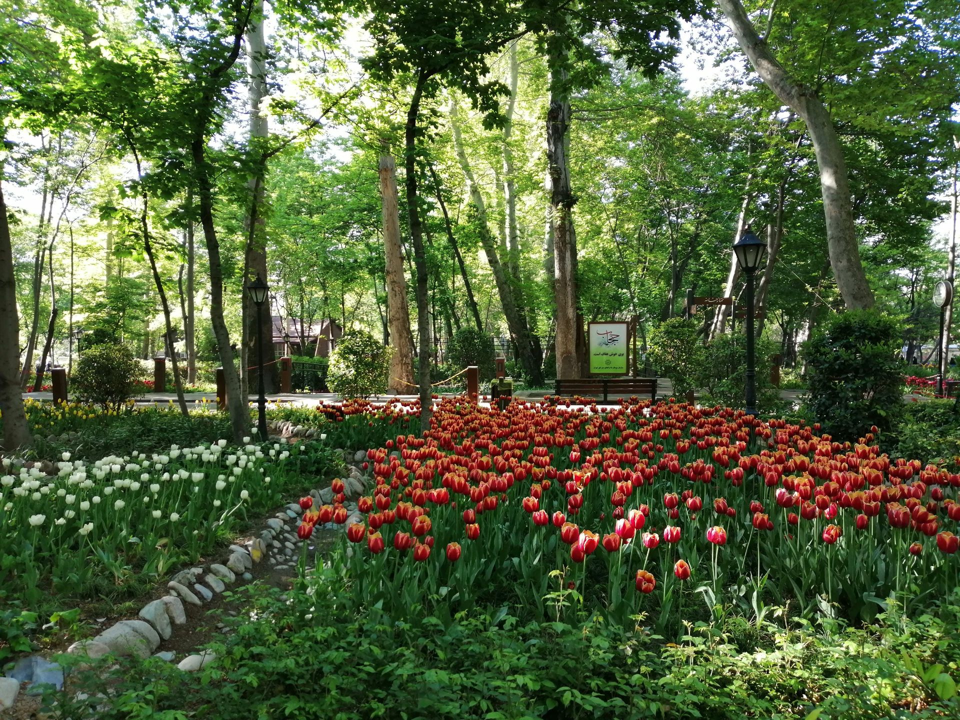 نمونه تصویر دوربین اصلی پی اسمارت ۲۰۱۹