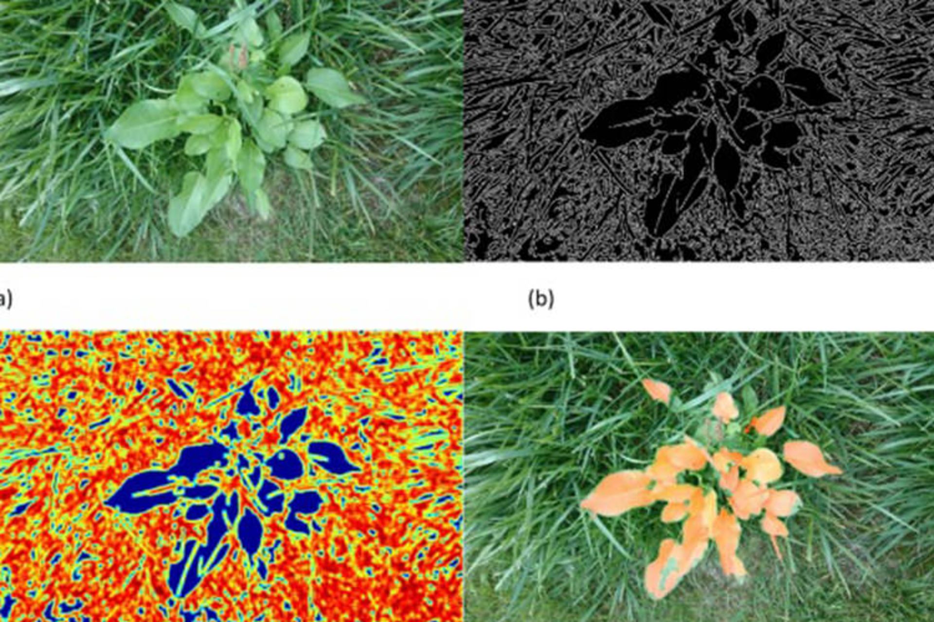 بینایی ماشین