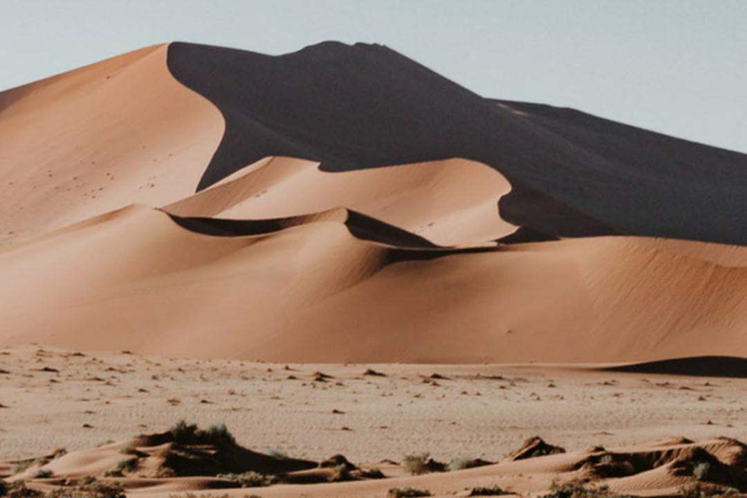 سرگردانی
