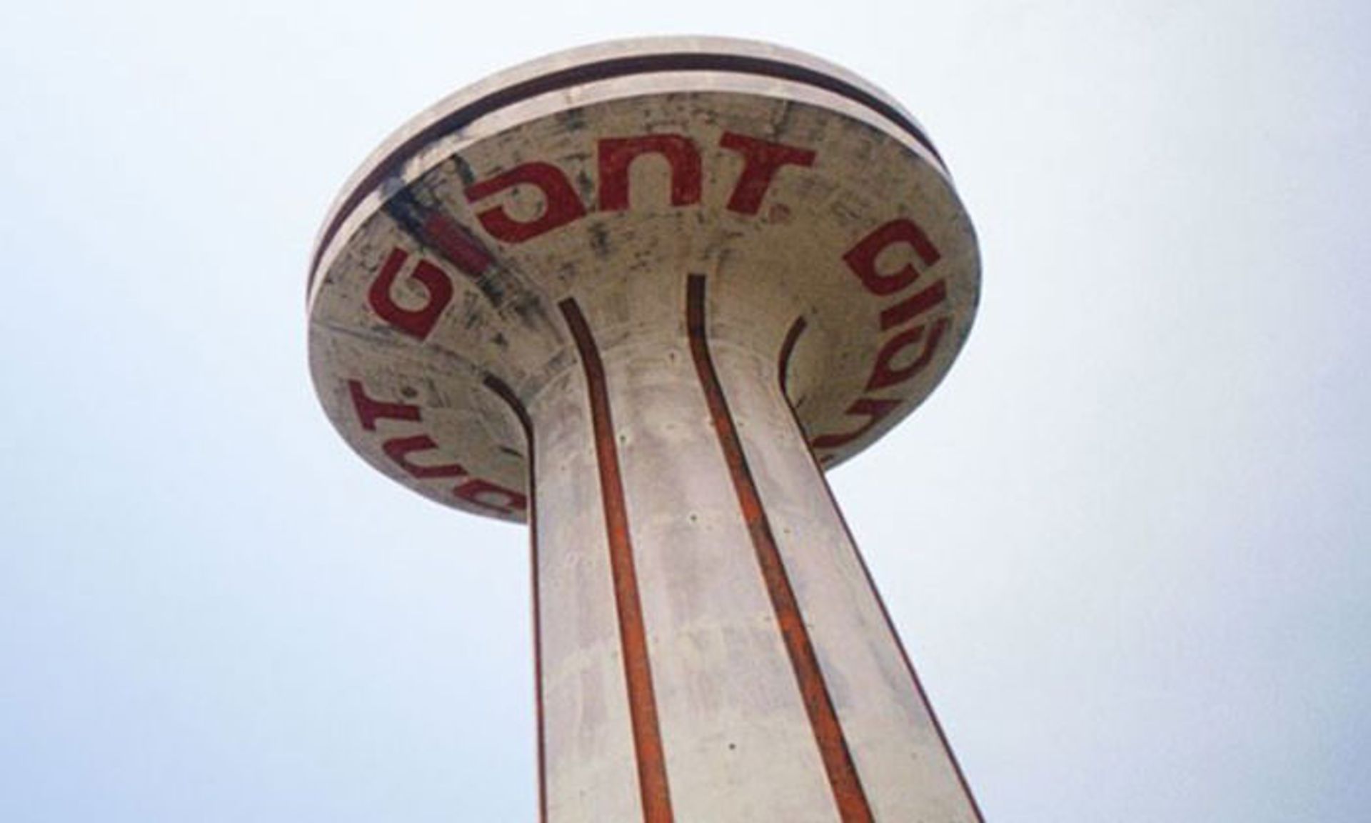 جاینت / Giant