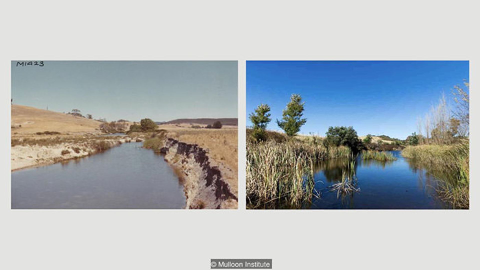 منطقه مولون