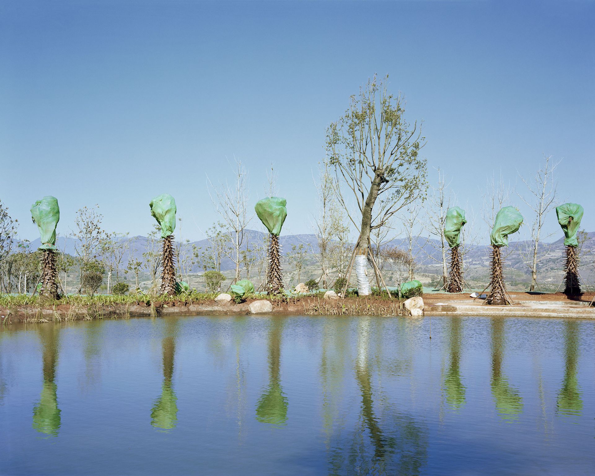 عکس برگزیده سال سونی