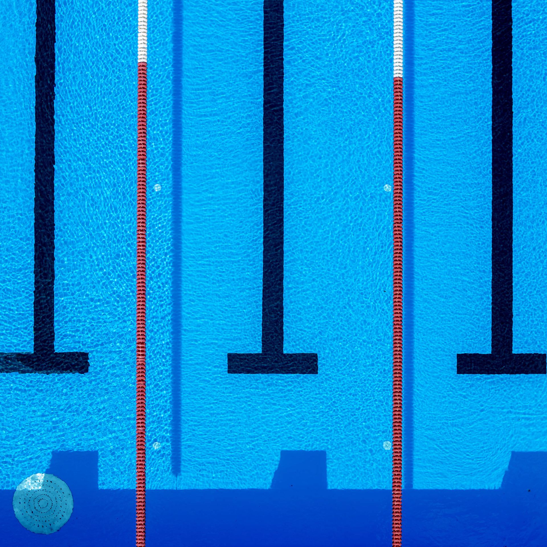 عکس برگزیده سال سونی