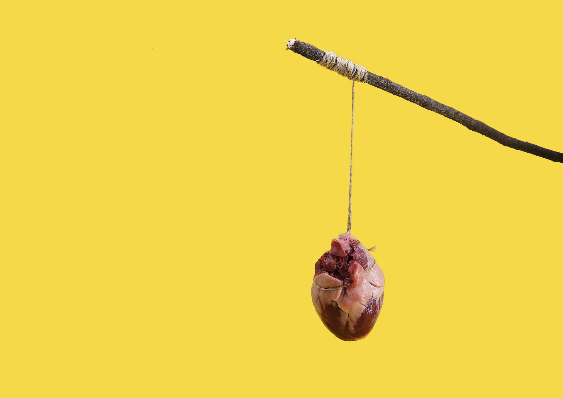 عکس برگزیده سال سونی