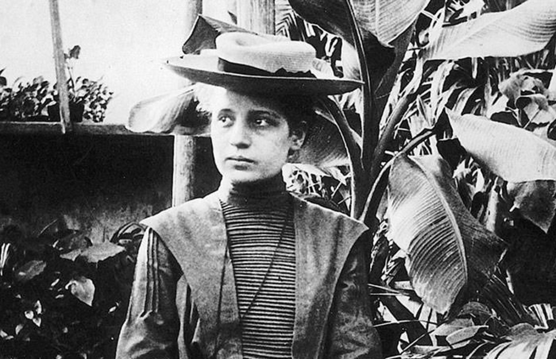 مرجع متخصصين ايران ليزه مايتنر / Lise Meitner