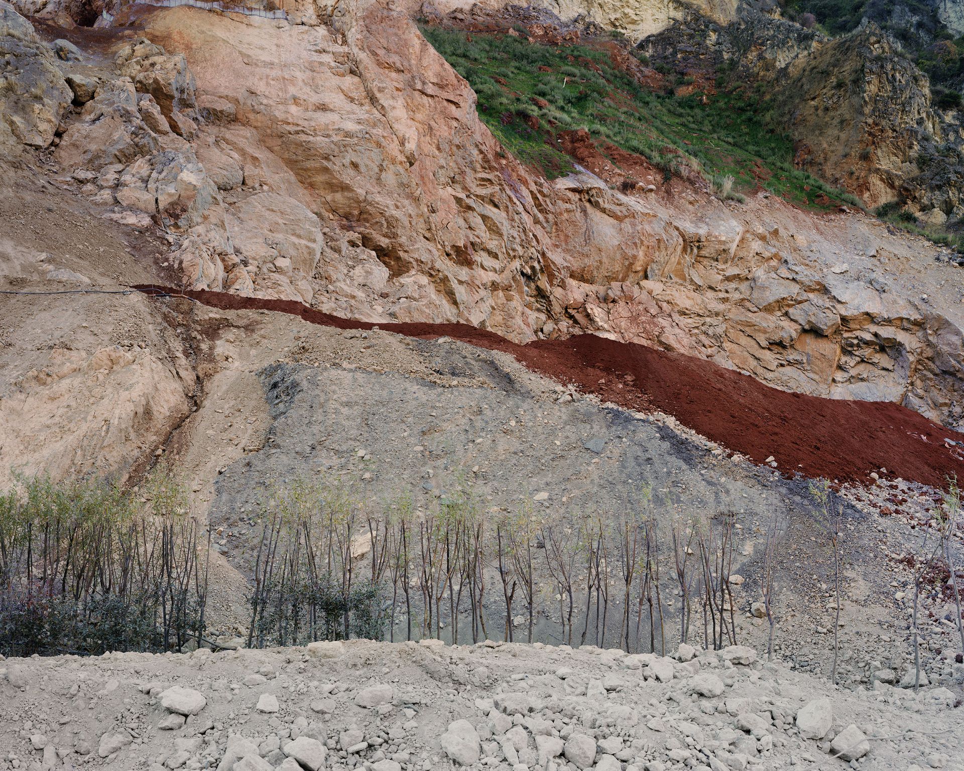 عکس برگزیده سال سونی