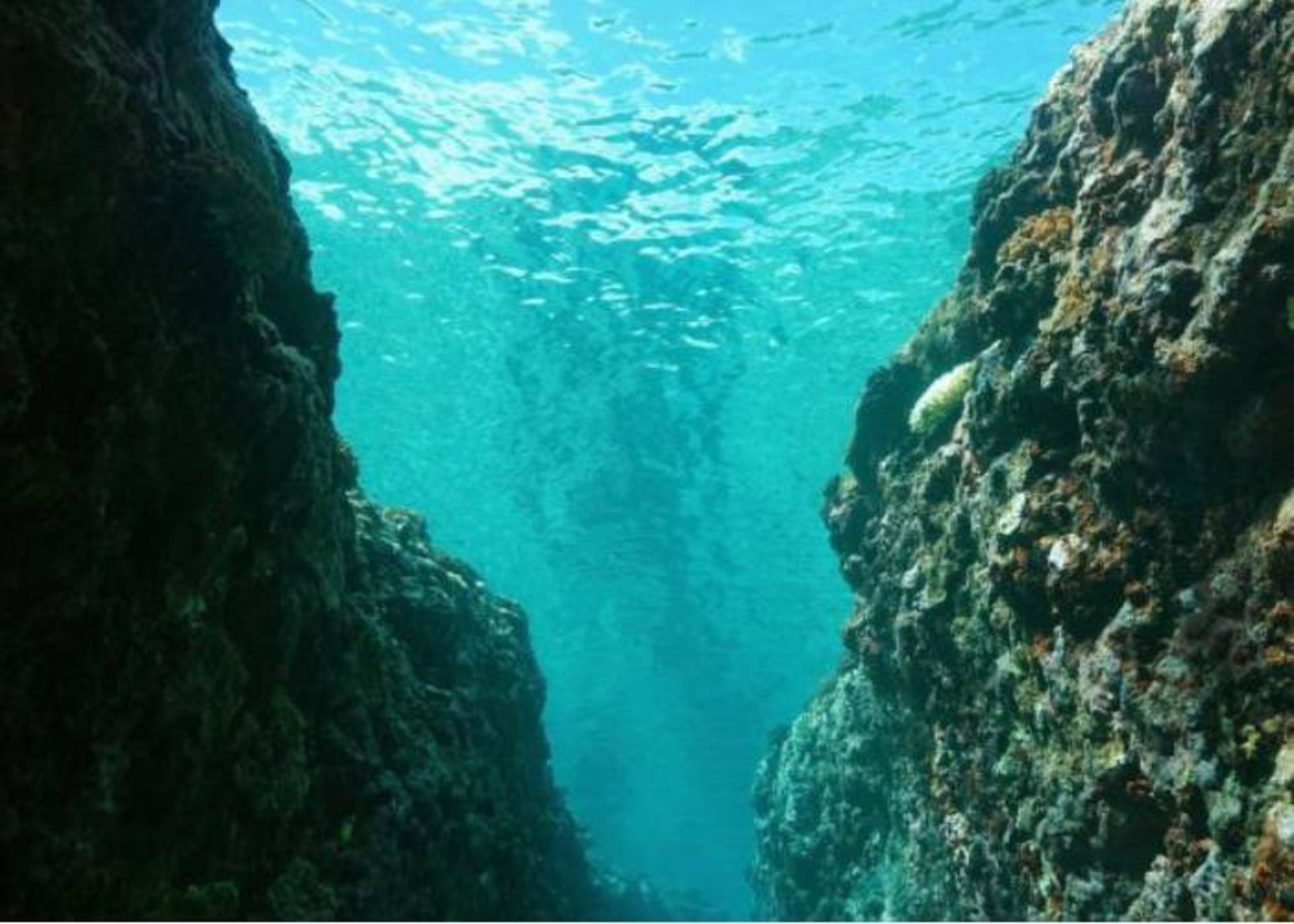 عمق اقیانوس