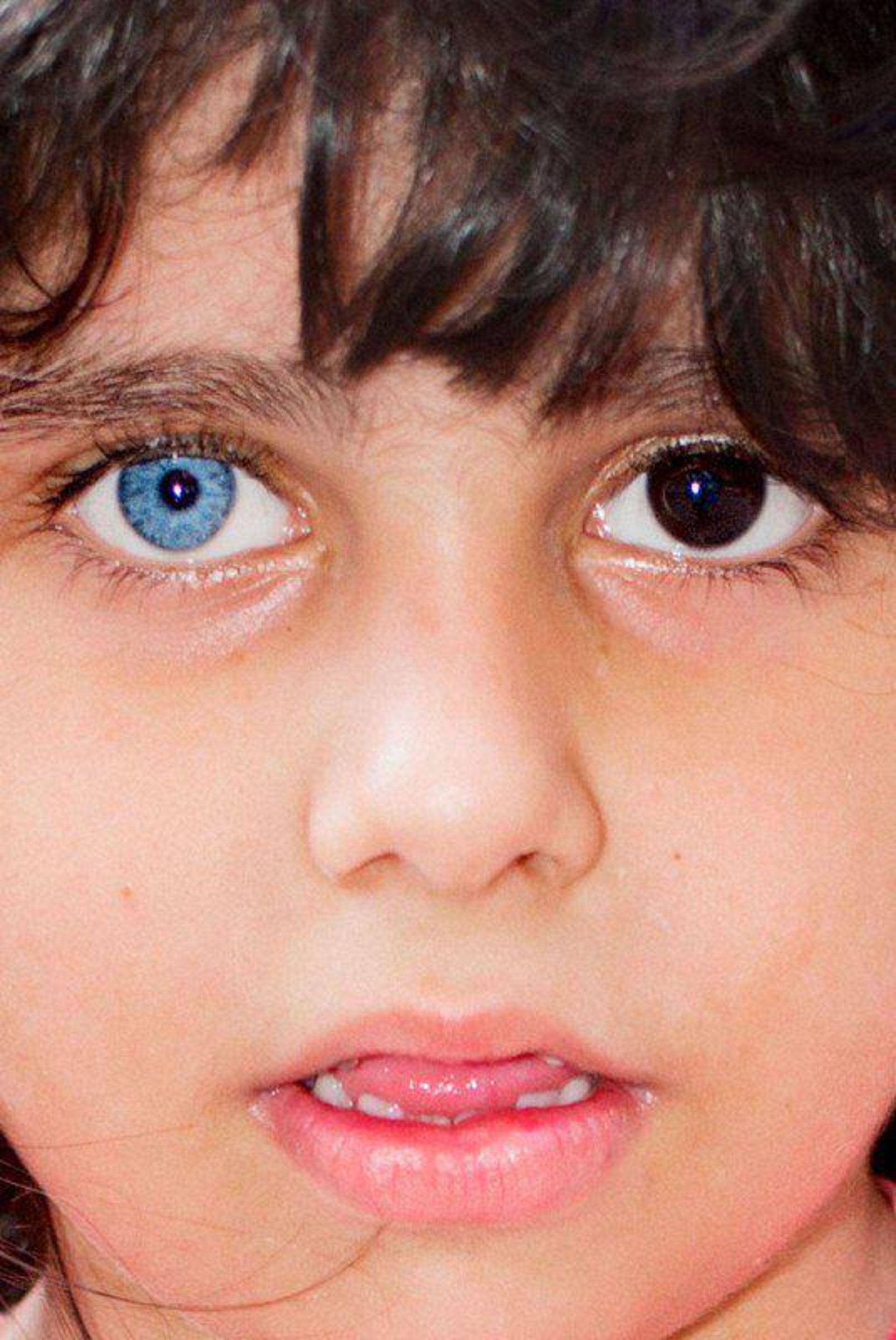 برگزیدگان مسابقات عکاسی جهانی 