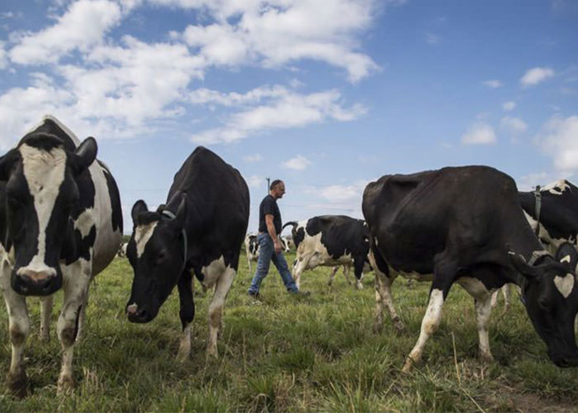 تغییرات اقلیمی