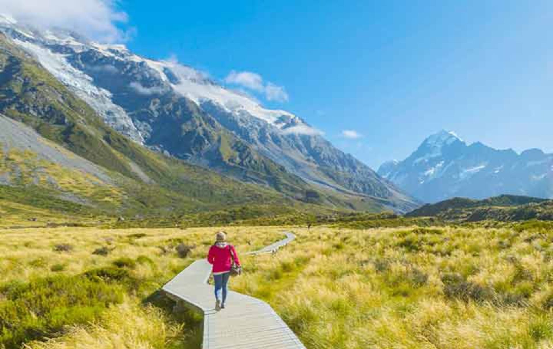 دادا با وجود سرگردانی‌های تمام وقتش، شغل و همسرش را حفظ کرده بود