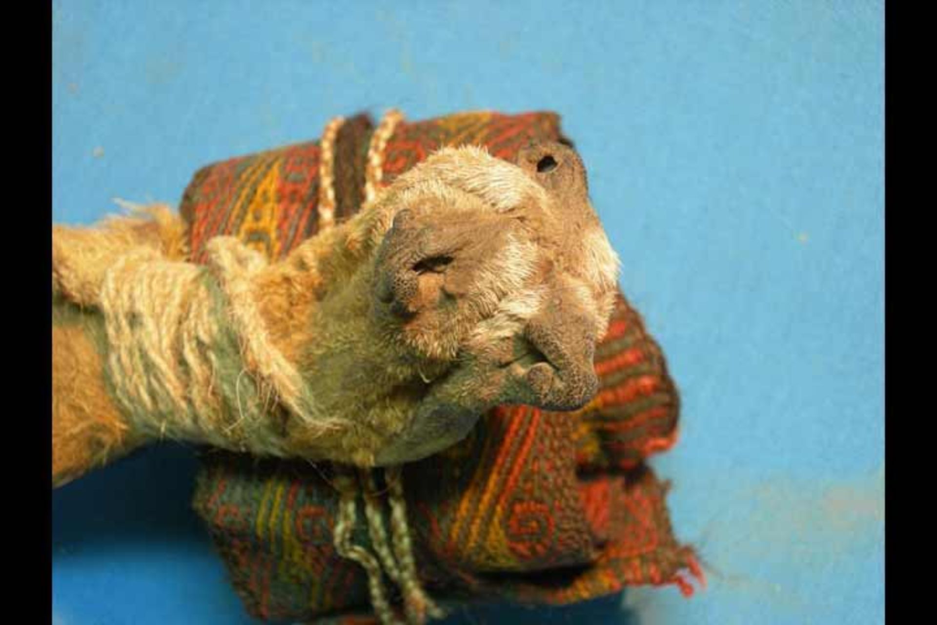 کیسه‌ی چرمی حاوی مواد روانگردان