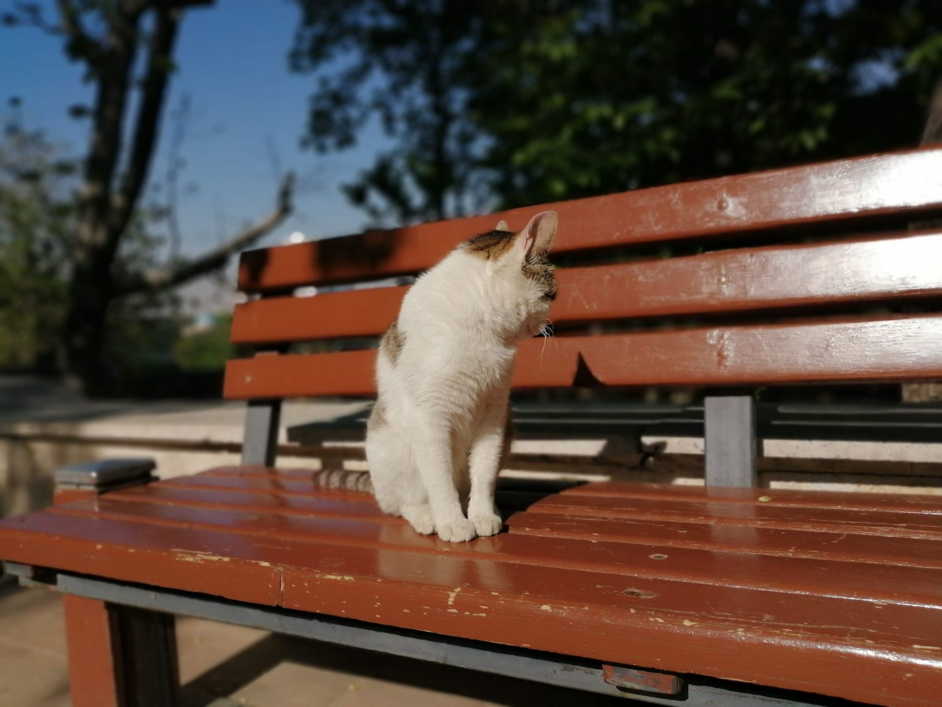 نمونه تصویر دوربین اصلی پی اسمارت ۲۰۱۹ - حالت Night