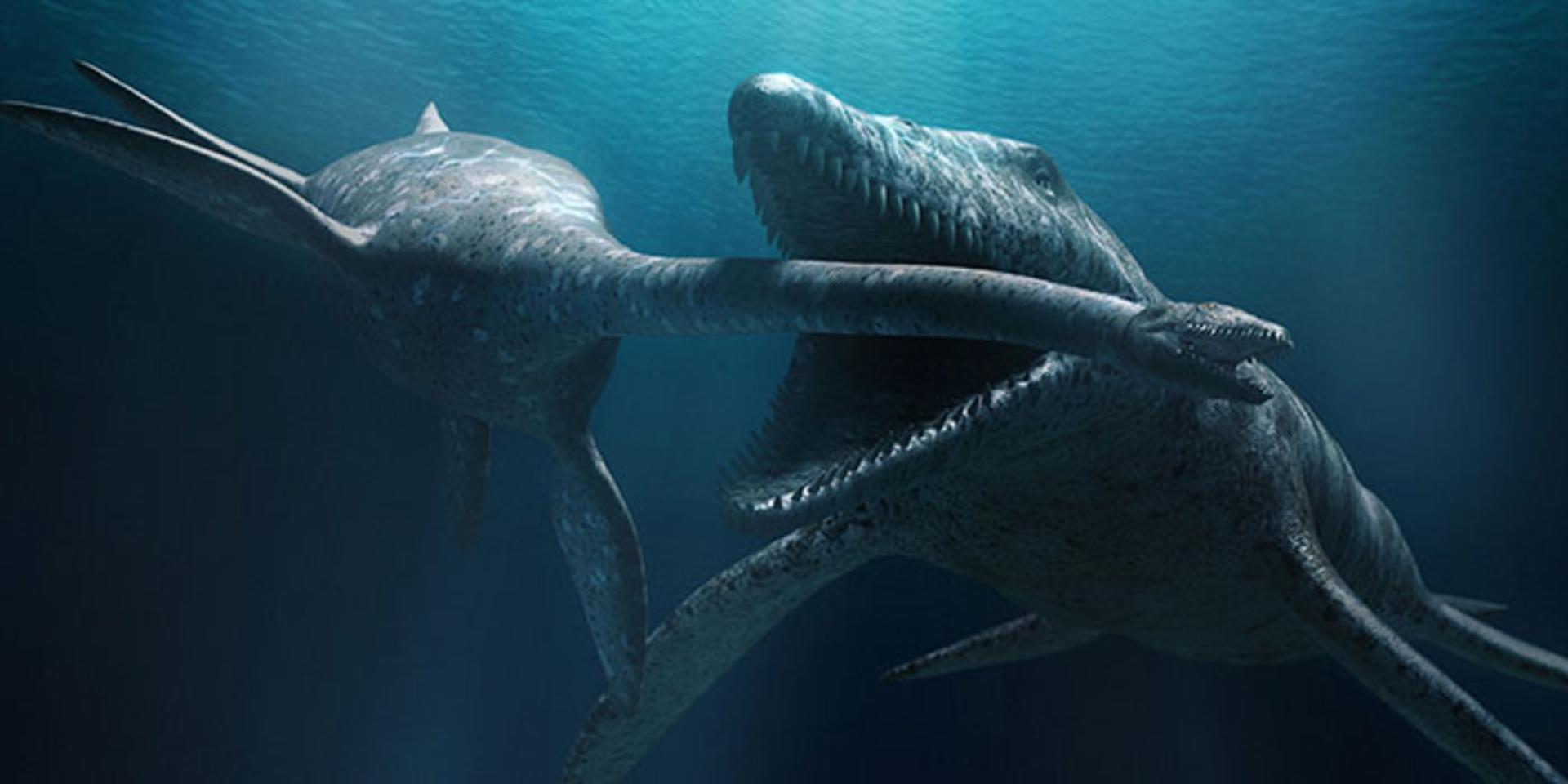 هیولای دریایی / sea monster