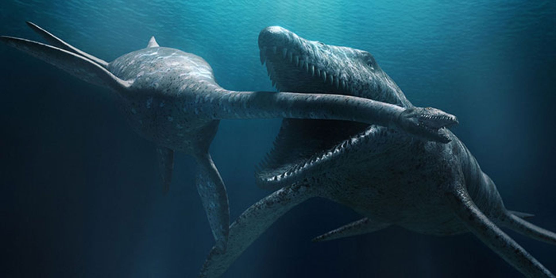 هیولای دریایی / sea monster