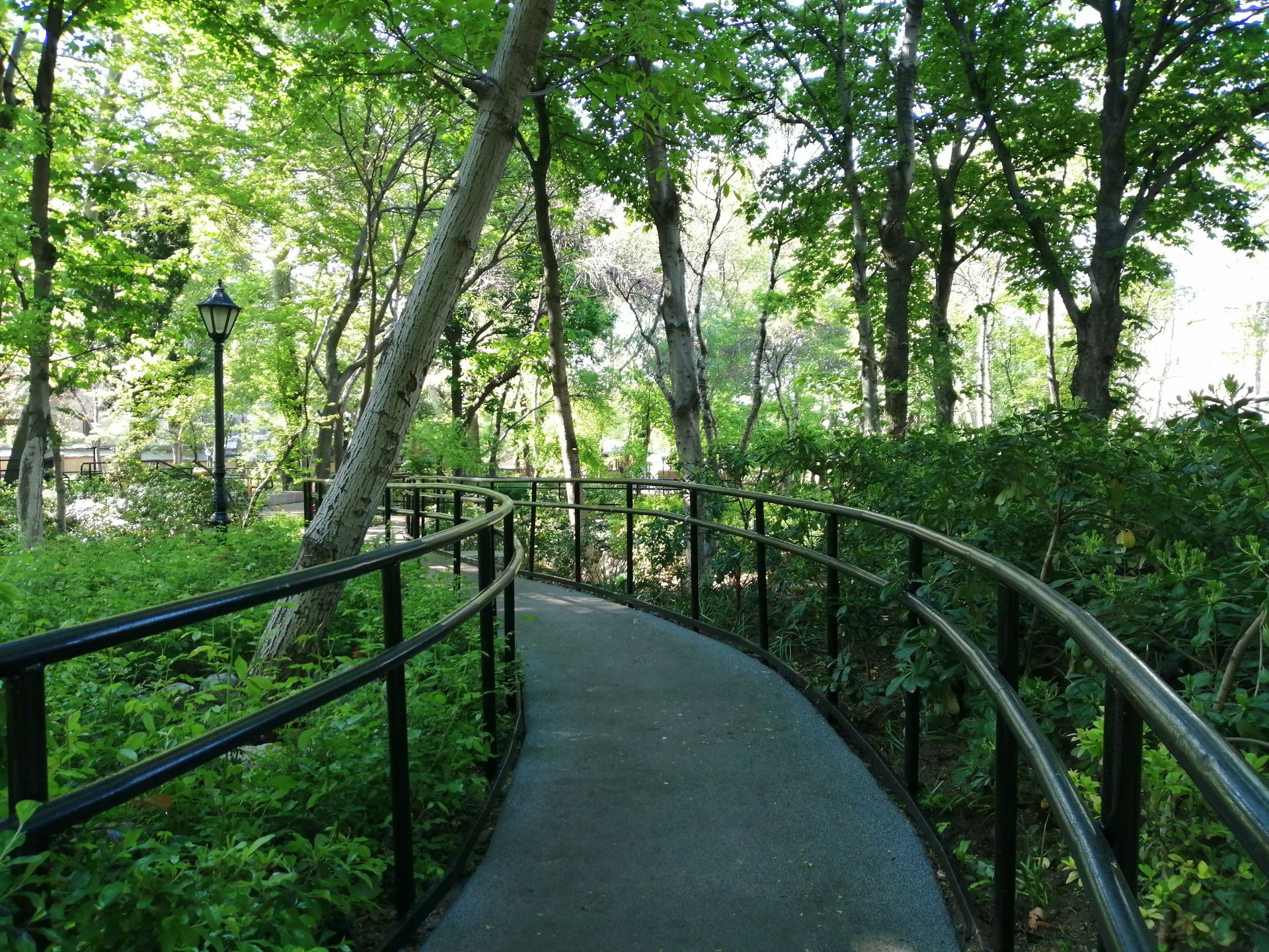 نمونه تصویر دوربین اصلی پی اسمارت ۲۰۱۹ - حالت Night