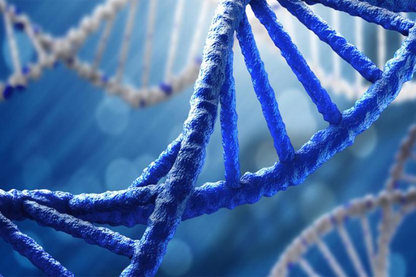 DNA
