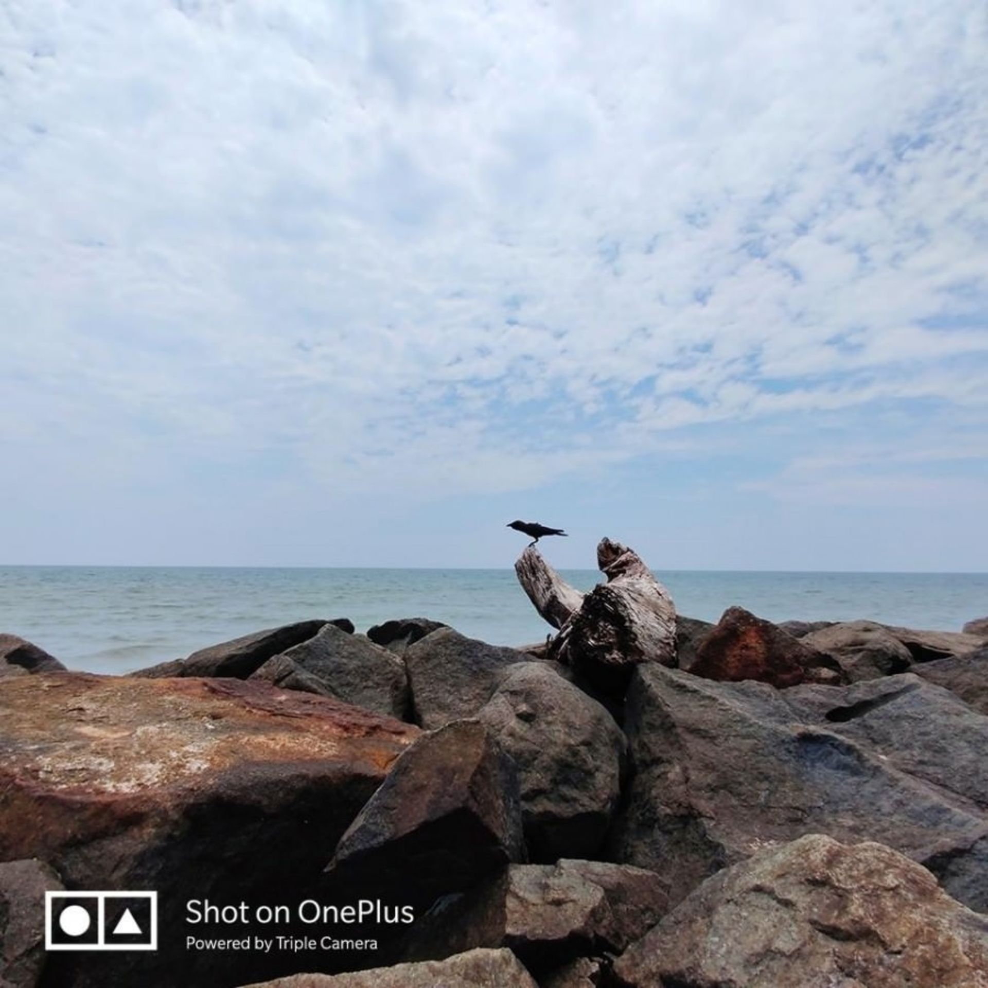 وان پلاس 7 پرو 