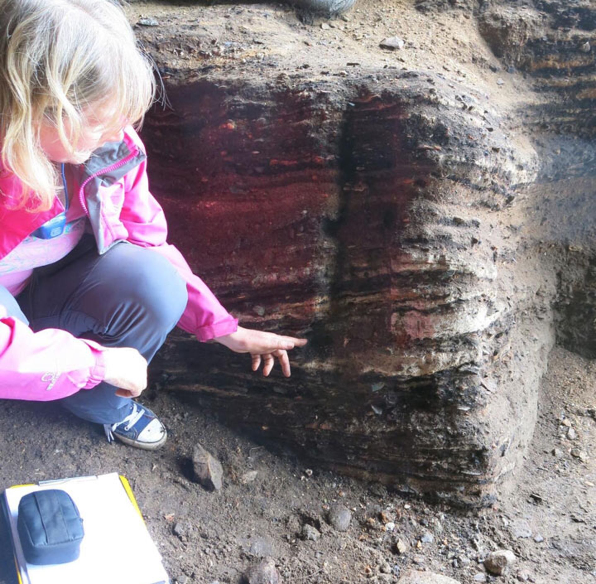 سینتیا لاربی 