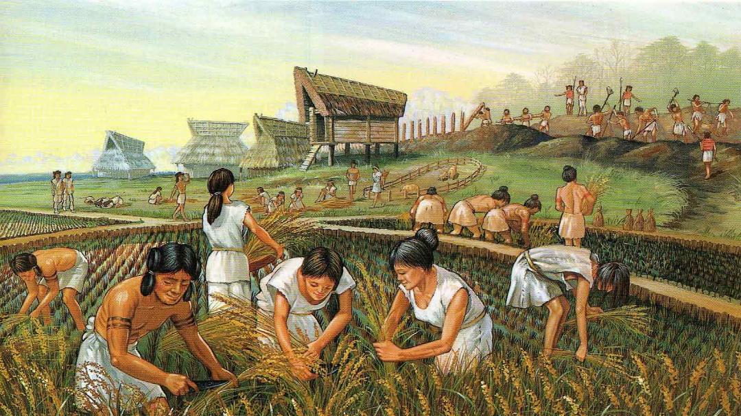 تمدن انسان / human civilization