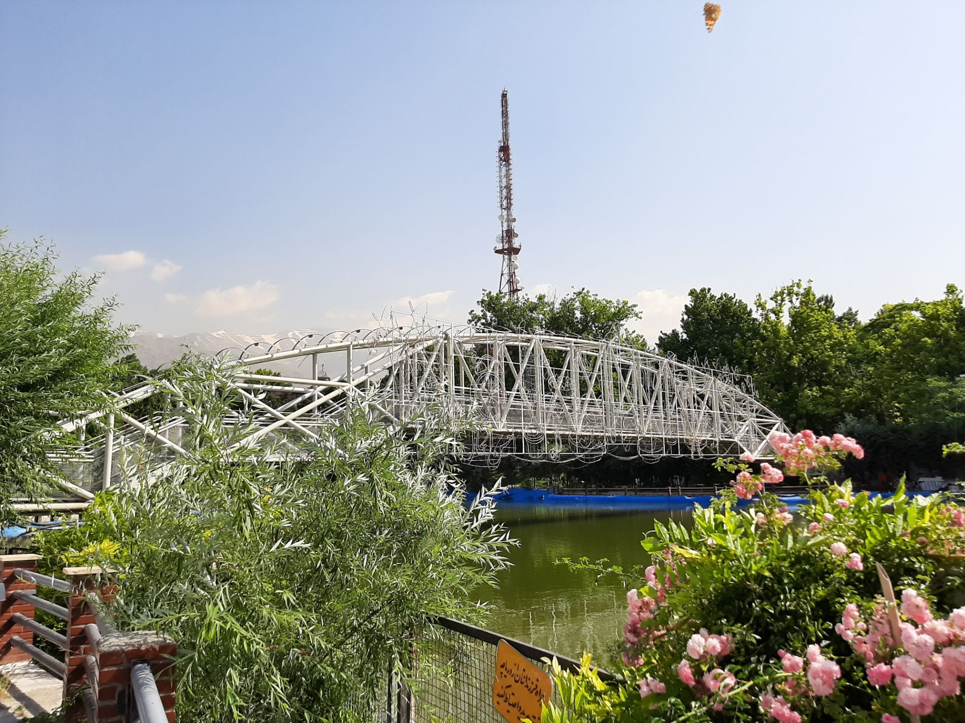 گرفته شده با دوربین اصلی گلکسی A50 