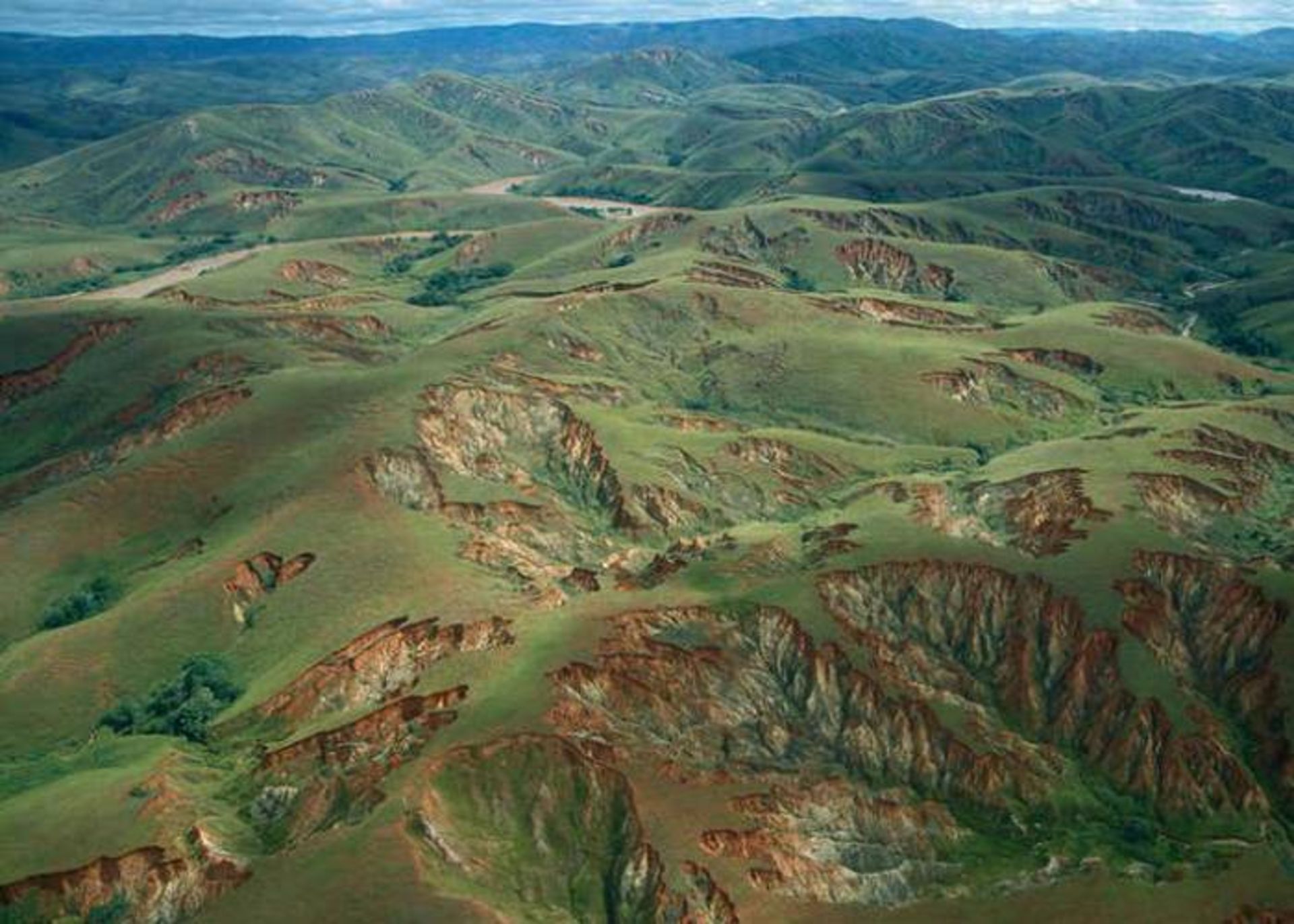 تخریب پوشش گیاهی