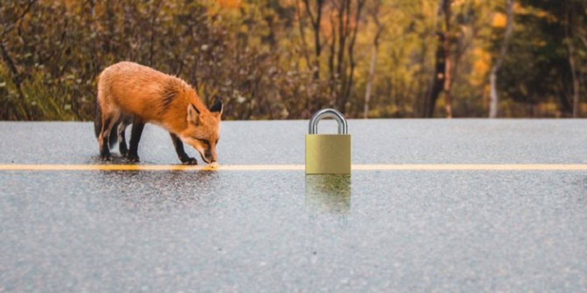 موزیلا فایرفاکس / Mozilla firefox