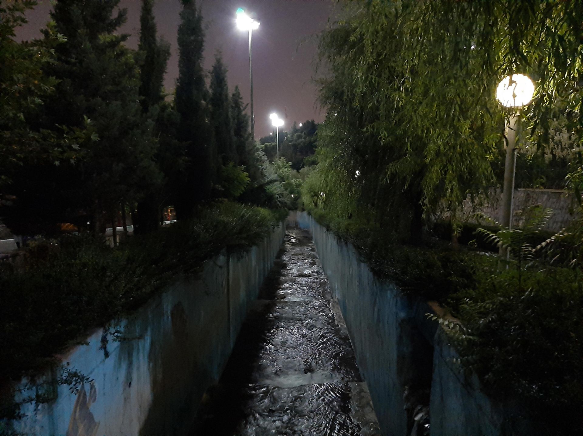 گرفته شده با دوربین اصلی گلکسی A50 