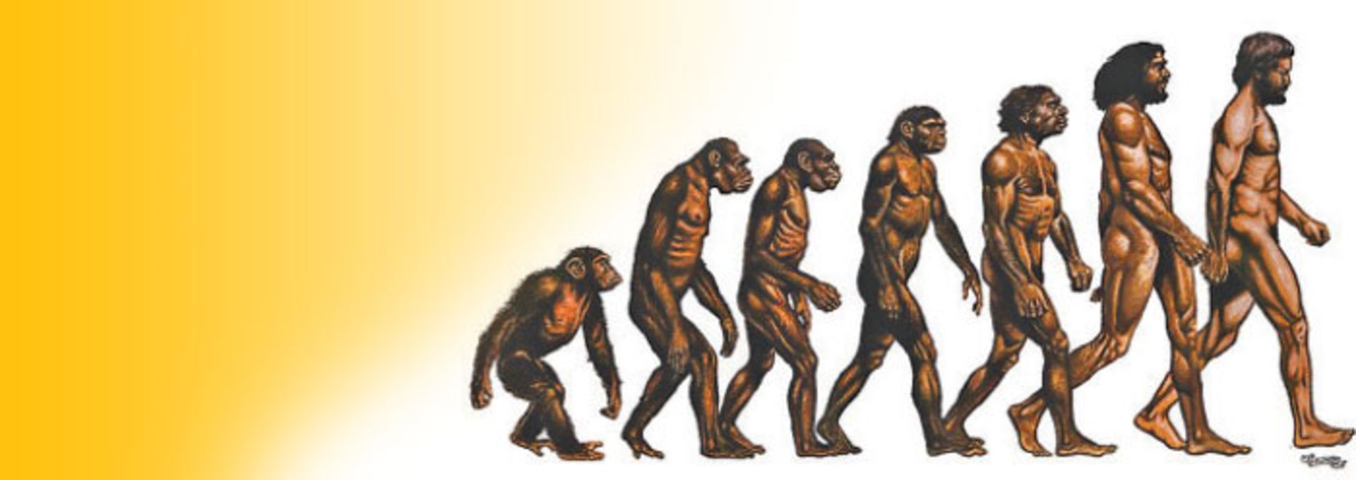 مرجع متخصصين ايران تكامل انسان / human evolution