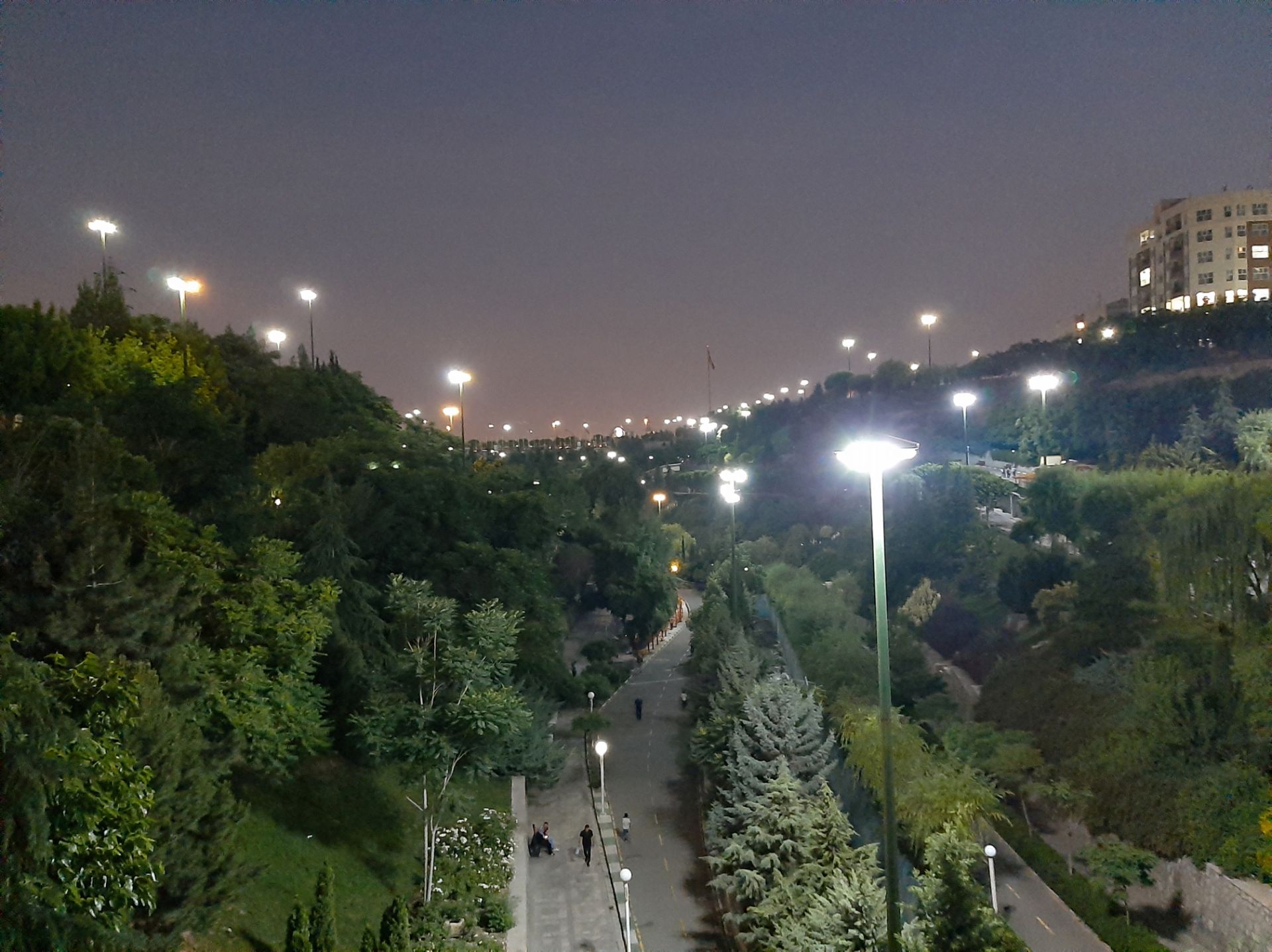 گرفته شده با دوربین اصلی گلکسی A50 