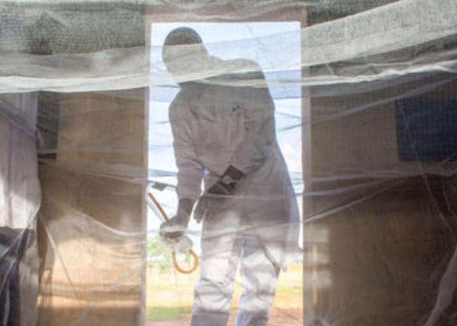 فضای آزمایش پشه