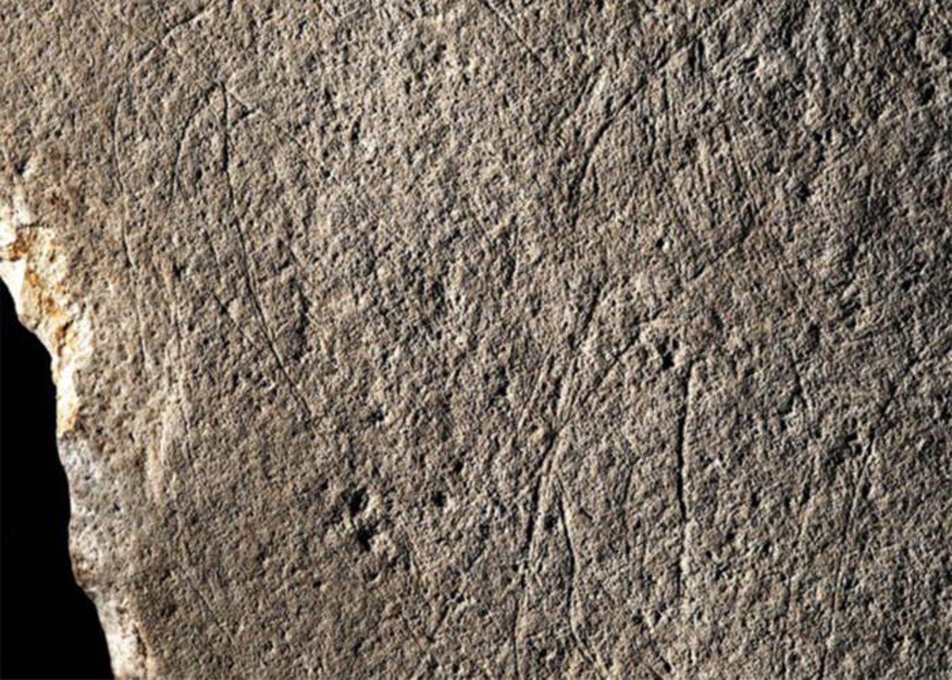 کشف سنگی ۱۲ هزار ساله در فرانسه