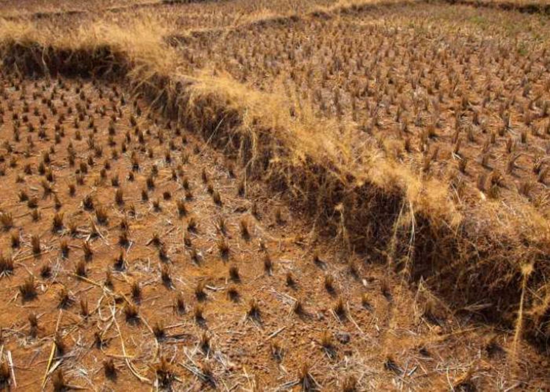 تغییرات اقلیمی